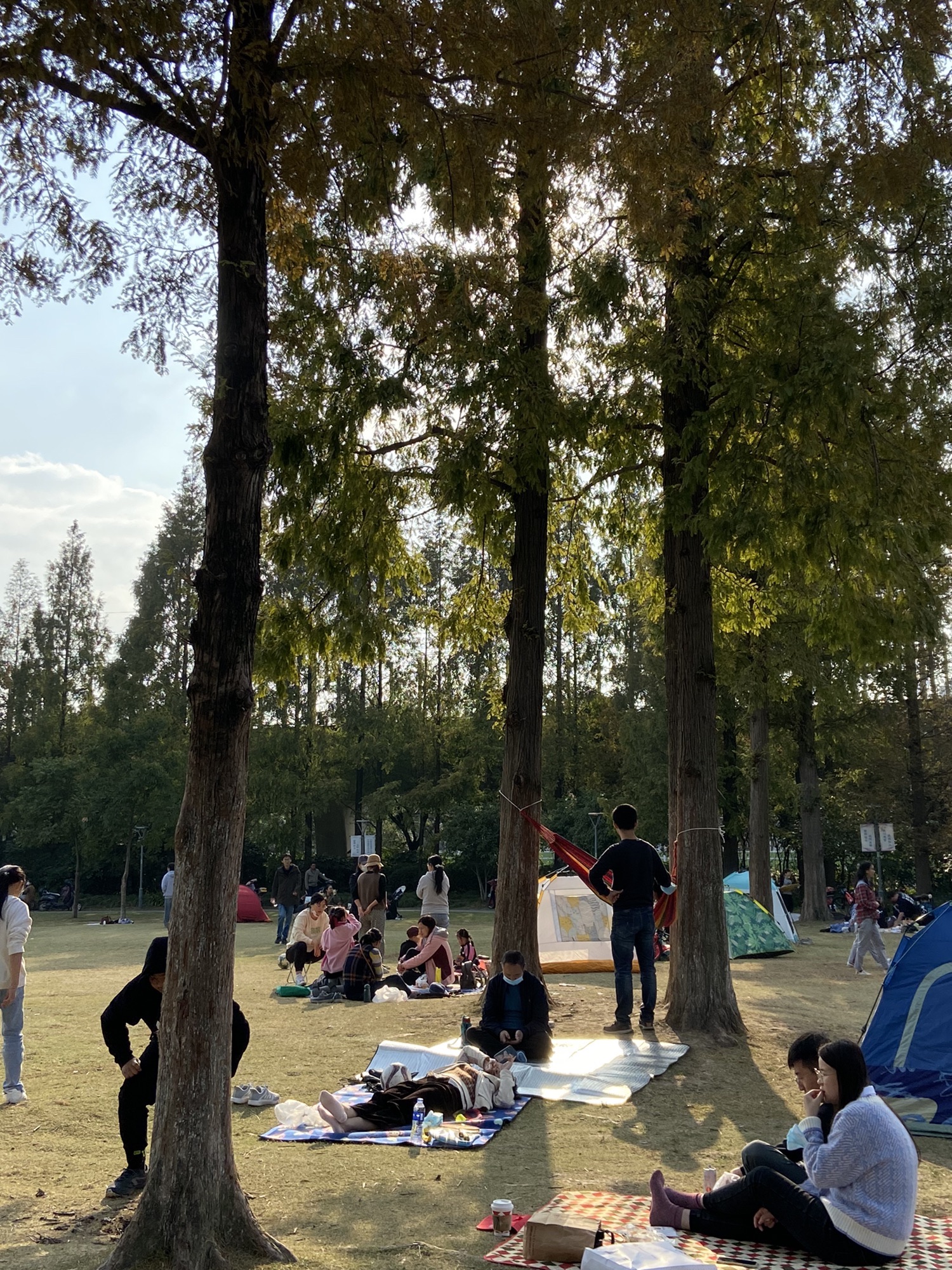 银都绿地