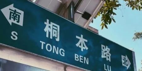 大象公园