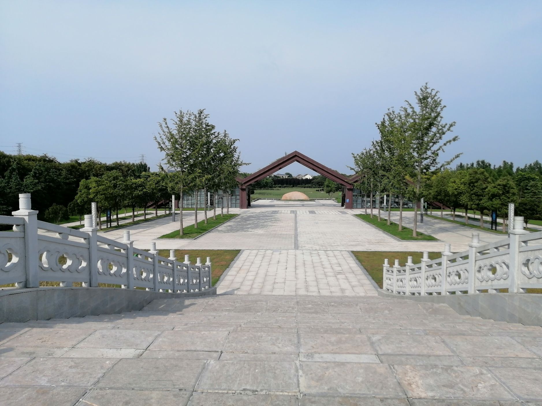泰兴市东郊森林公园旅行图片