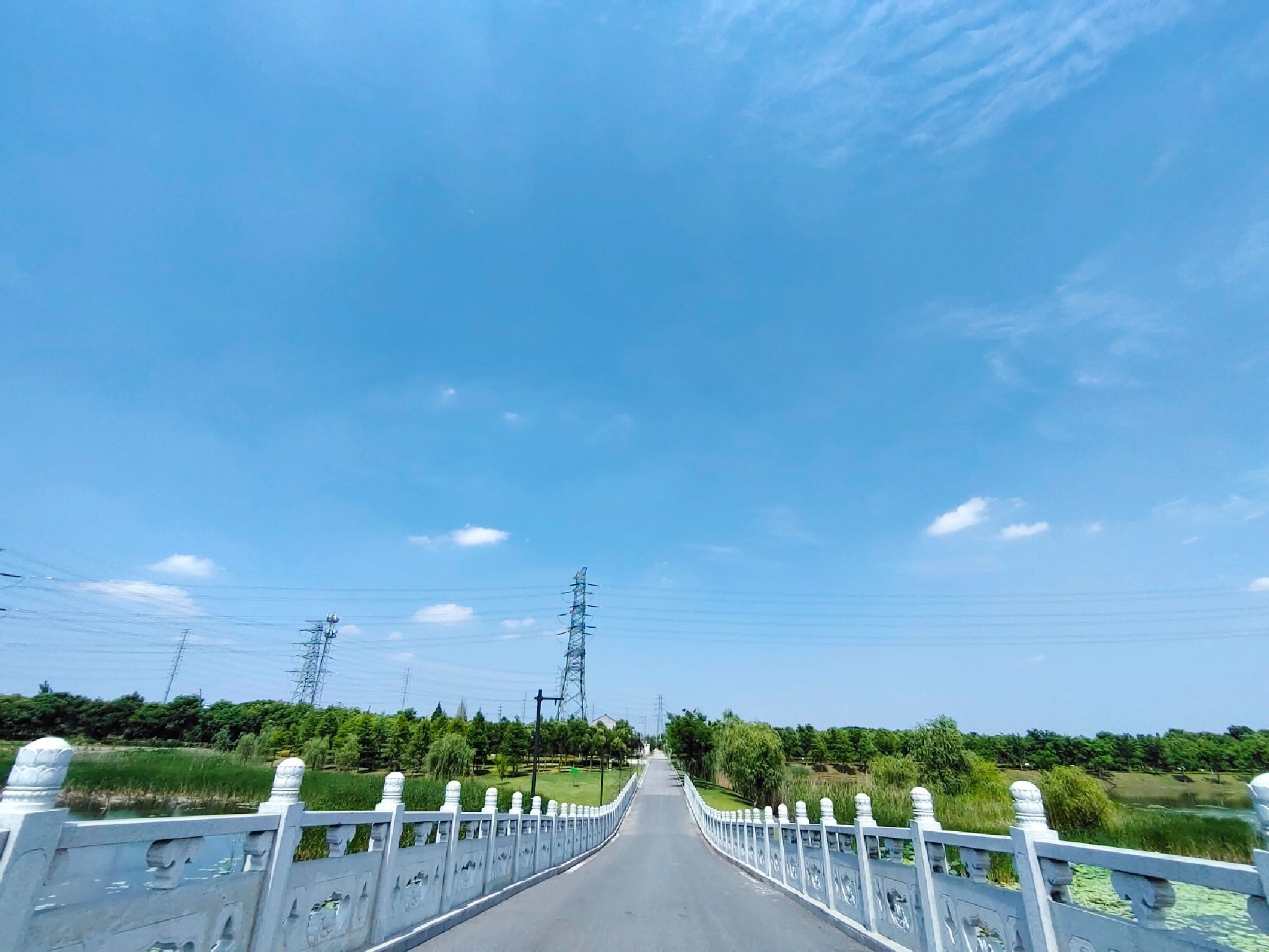 泰兴市东郊森林公园旅行图片