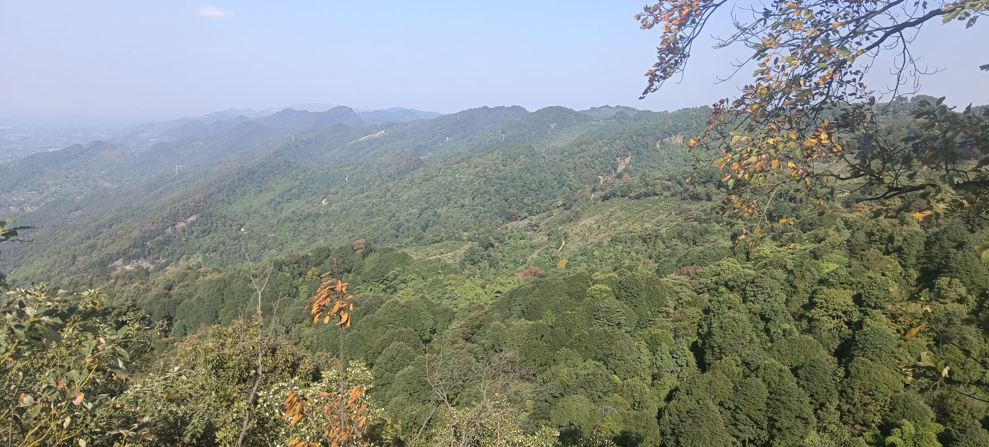 达州·大竹·云峰茶谷AAA旅游景区