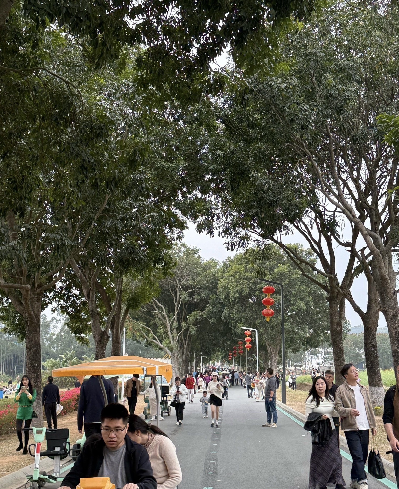 华侨城光明欢乐田园