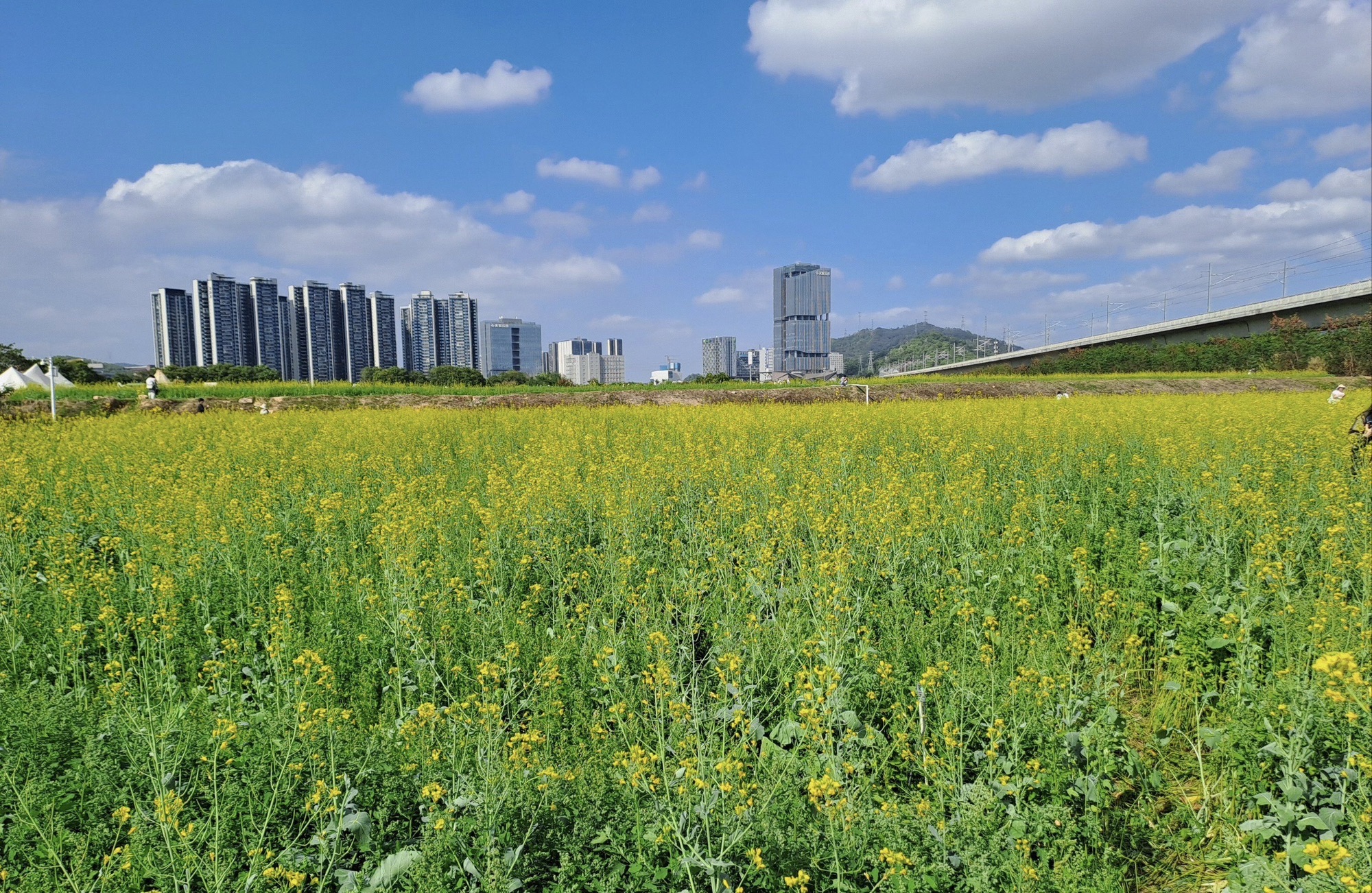 华侨城光明欢乐田园旅行图片