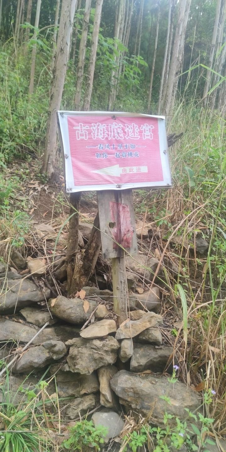 古海底迷宫旅行图片
