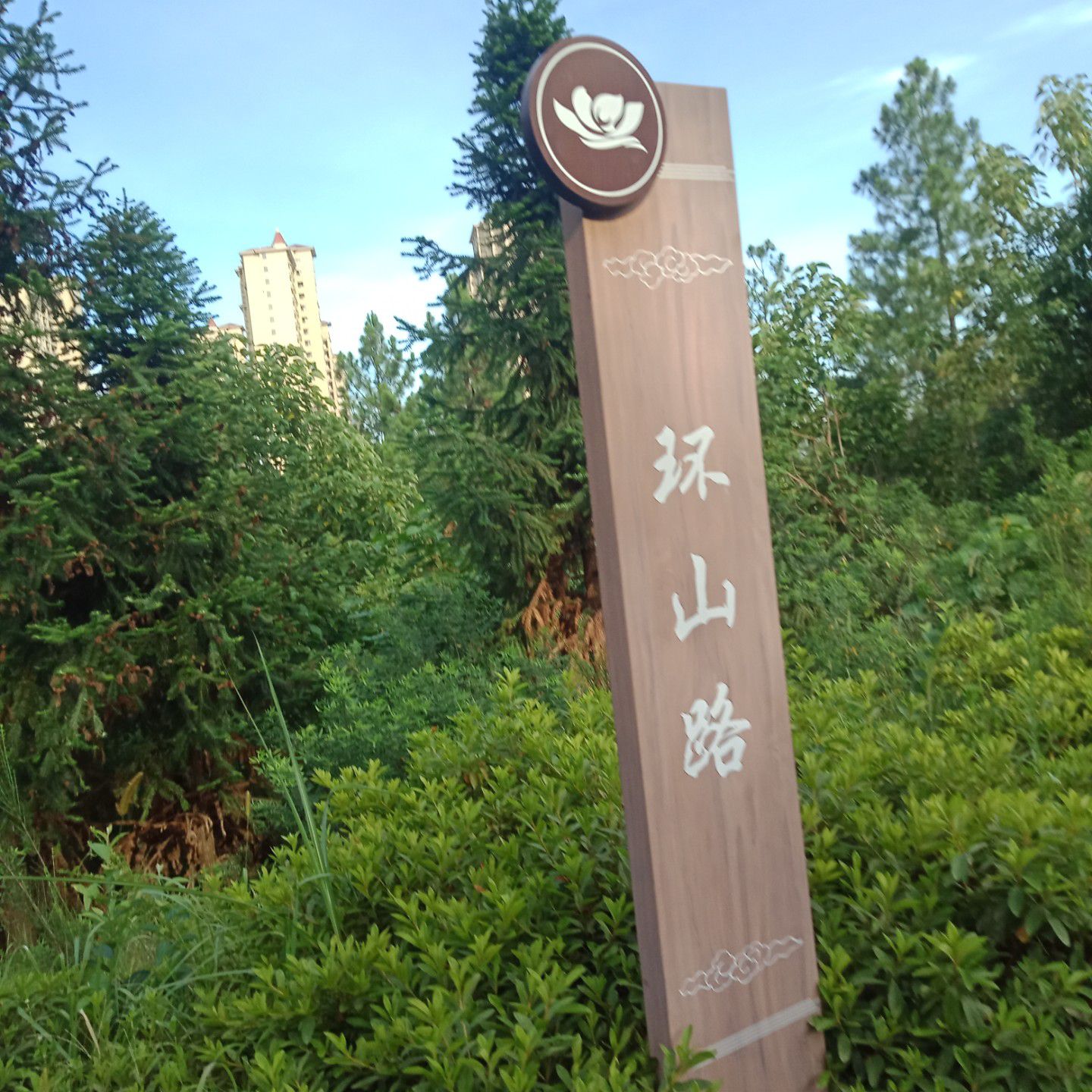 杨万里公园旅行图片