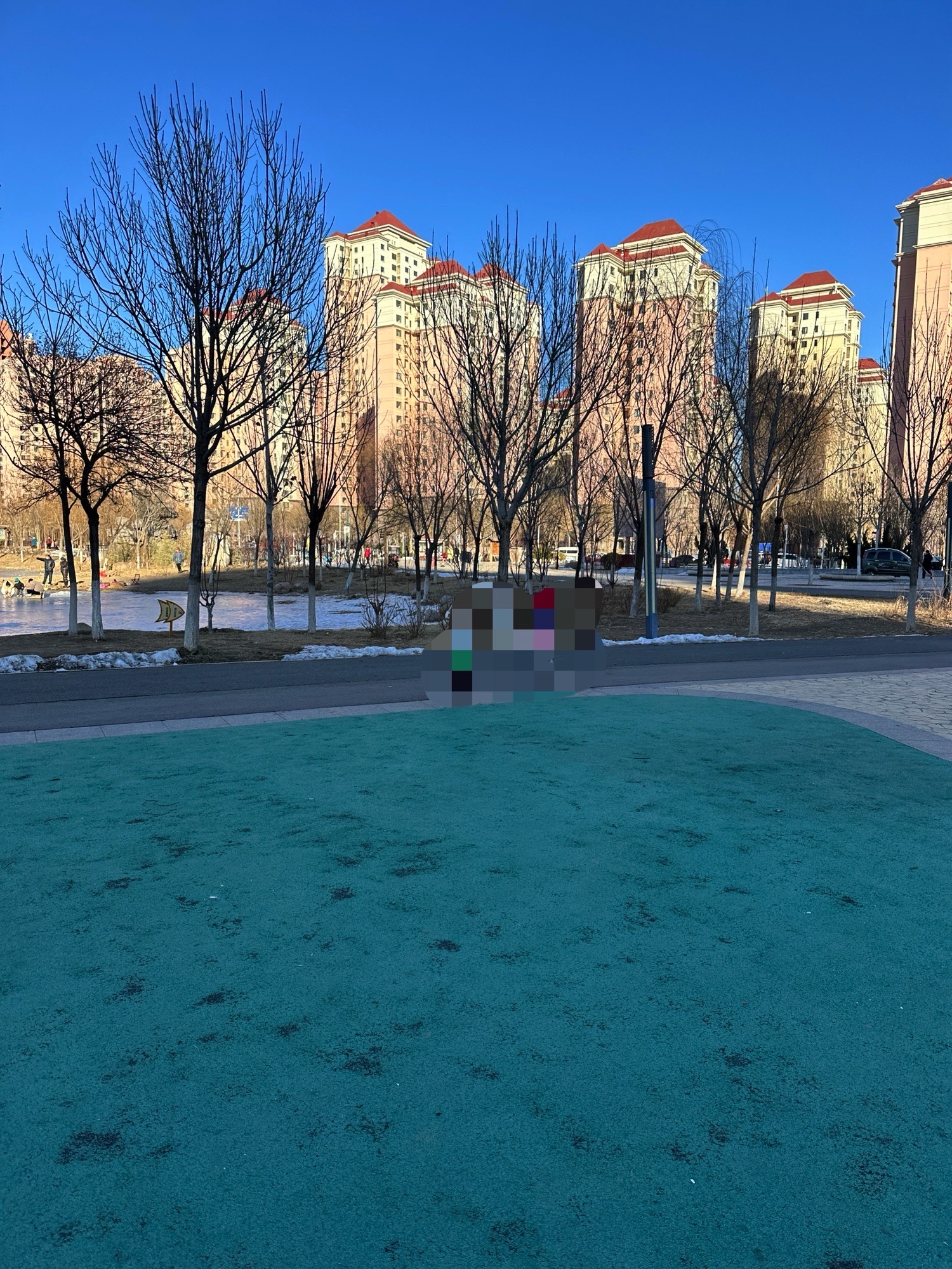 双青公园旅行图片