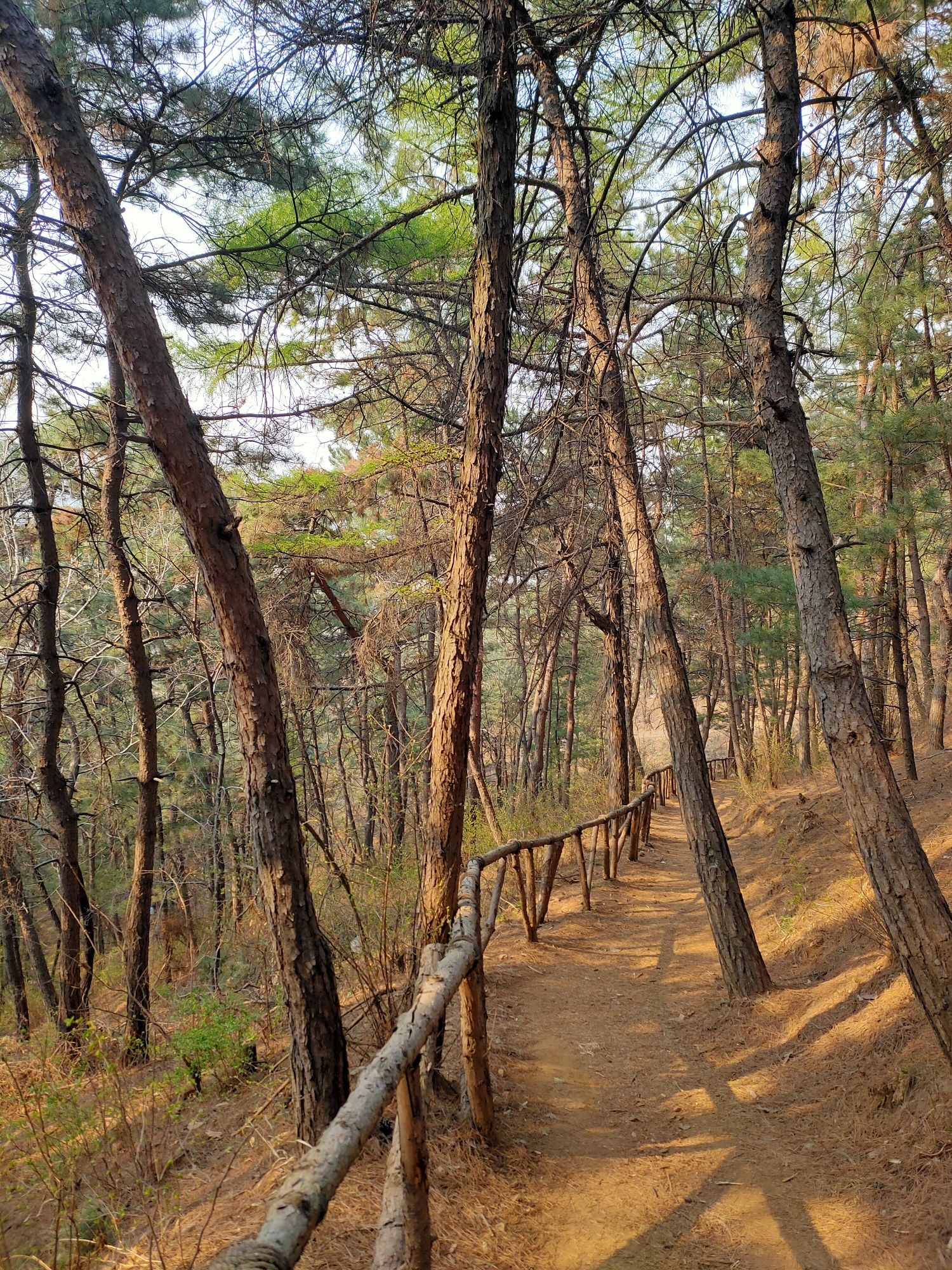 玉龙山公园旅行图片