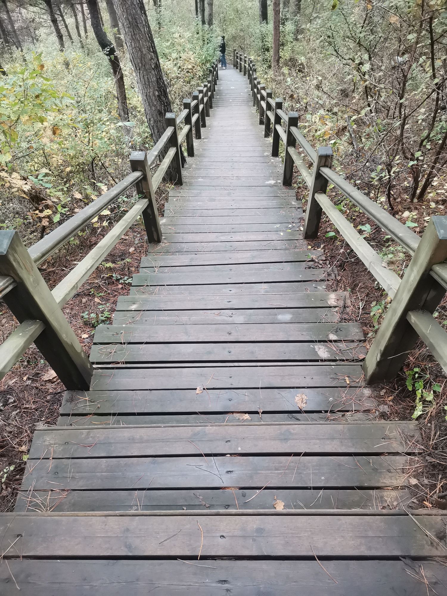 玉龙山公园旅行图片
