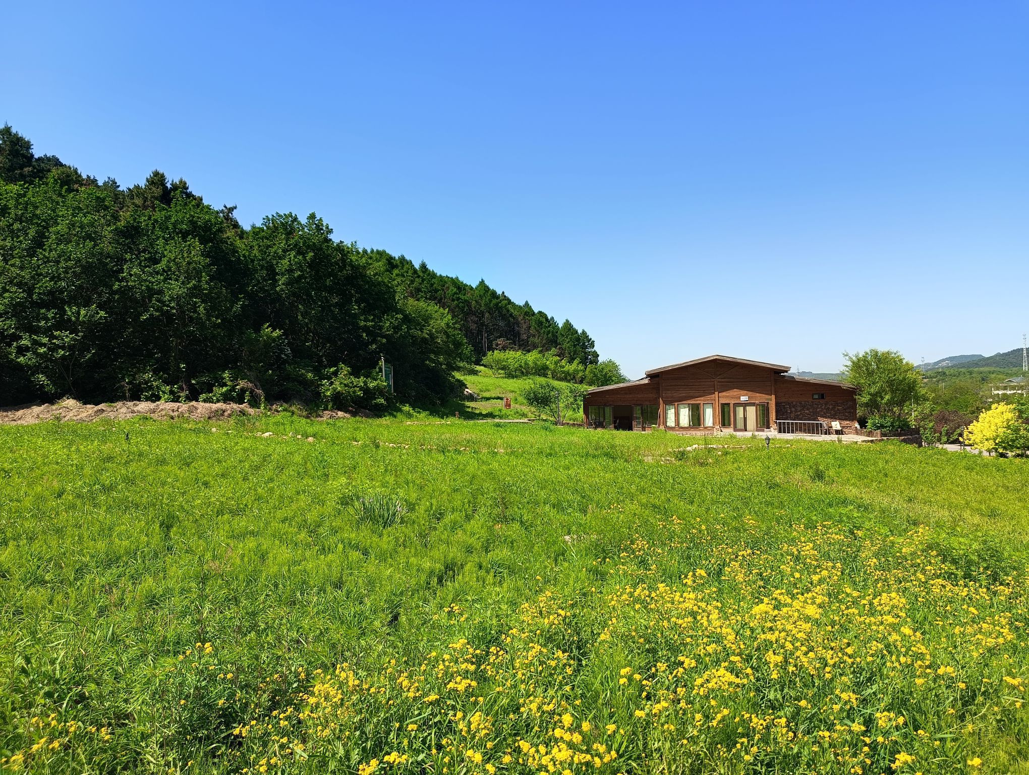 玉龙山公园旅行图片