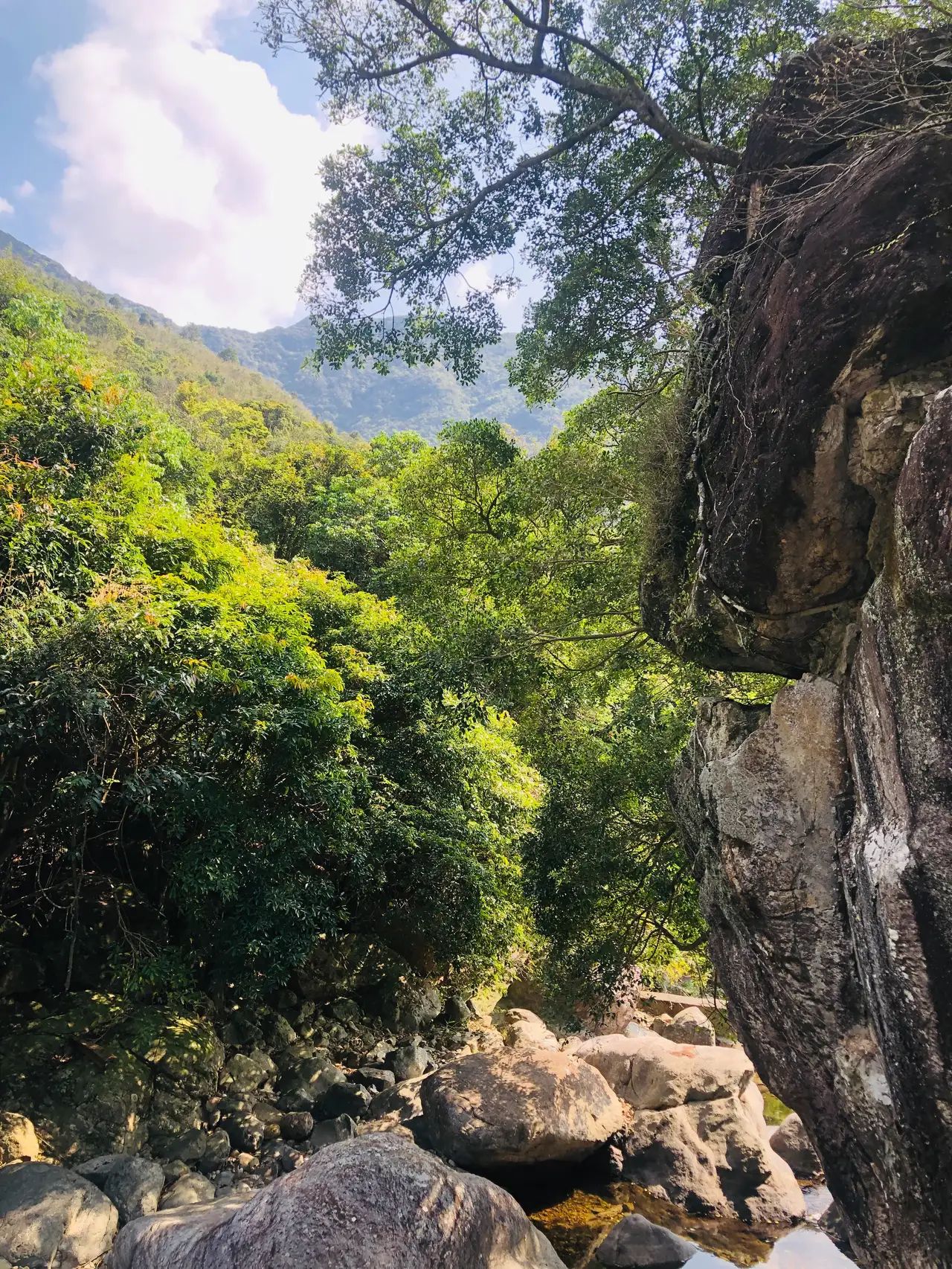 龙岩寺旅行图片