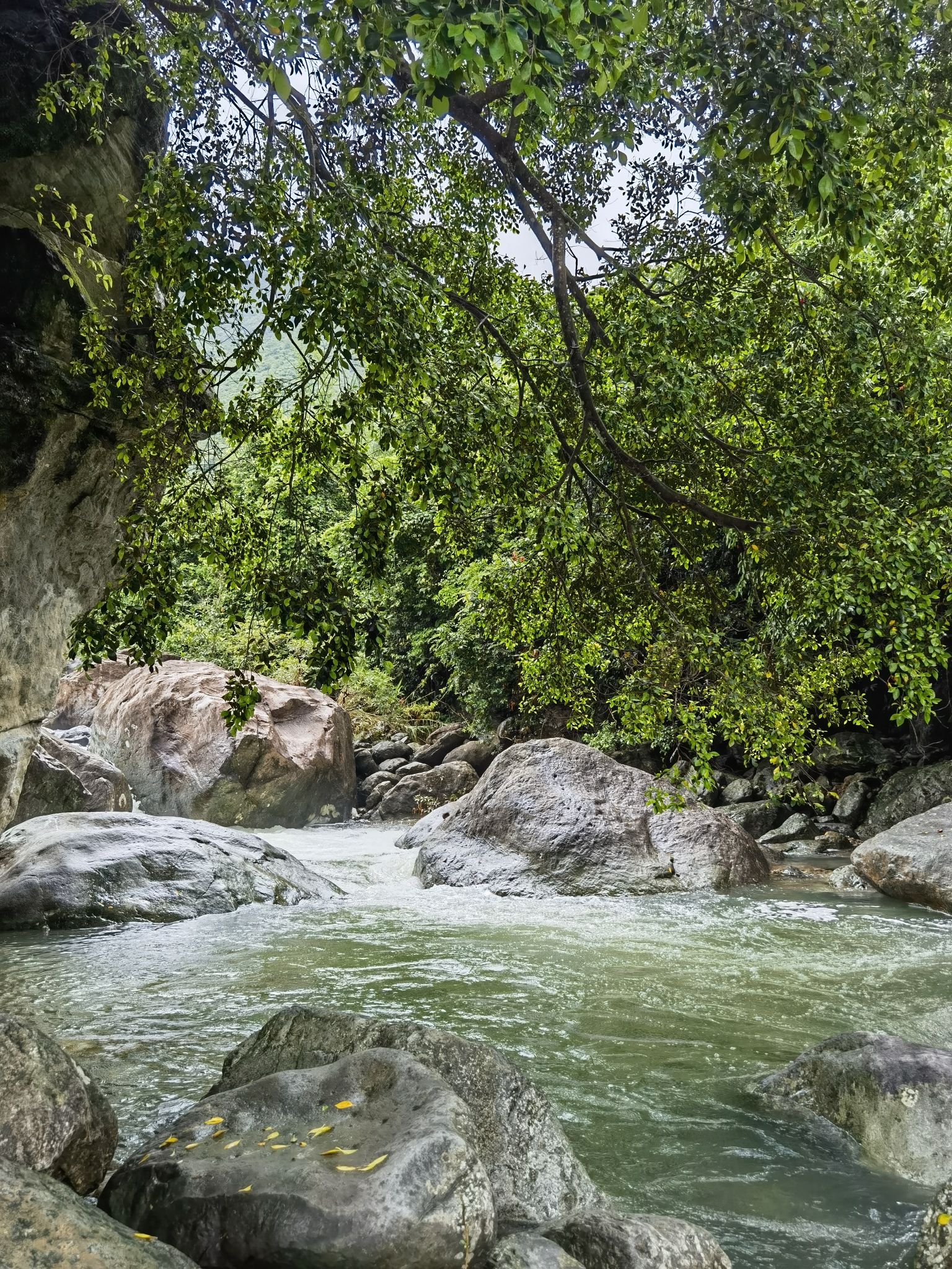 龙岩寺旅行图片