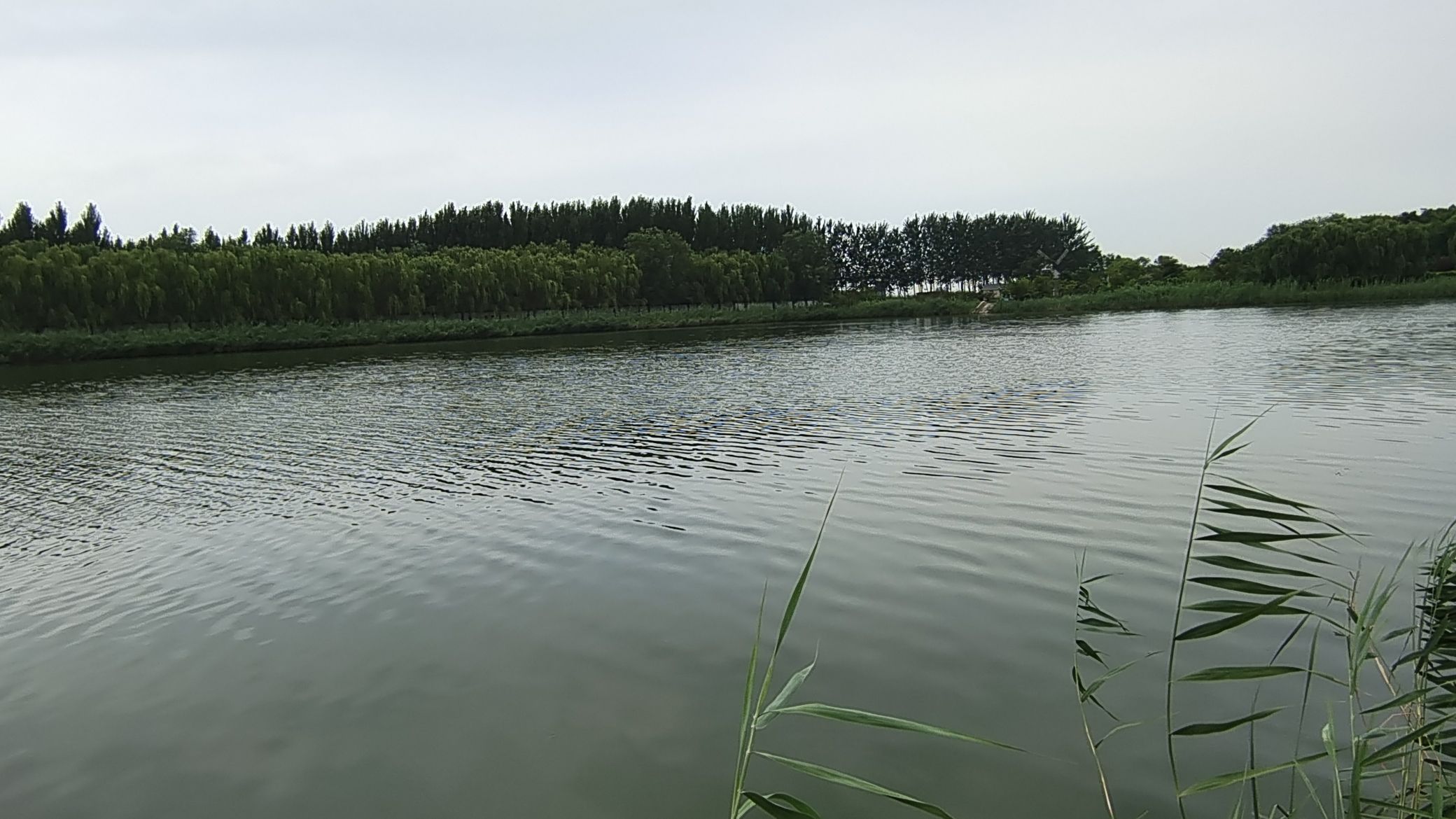 阜城湖公园