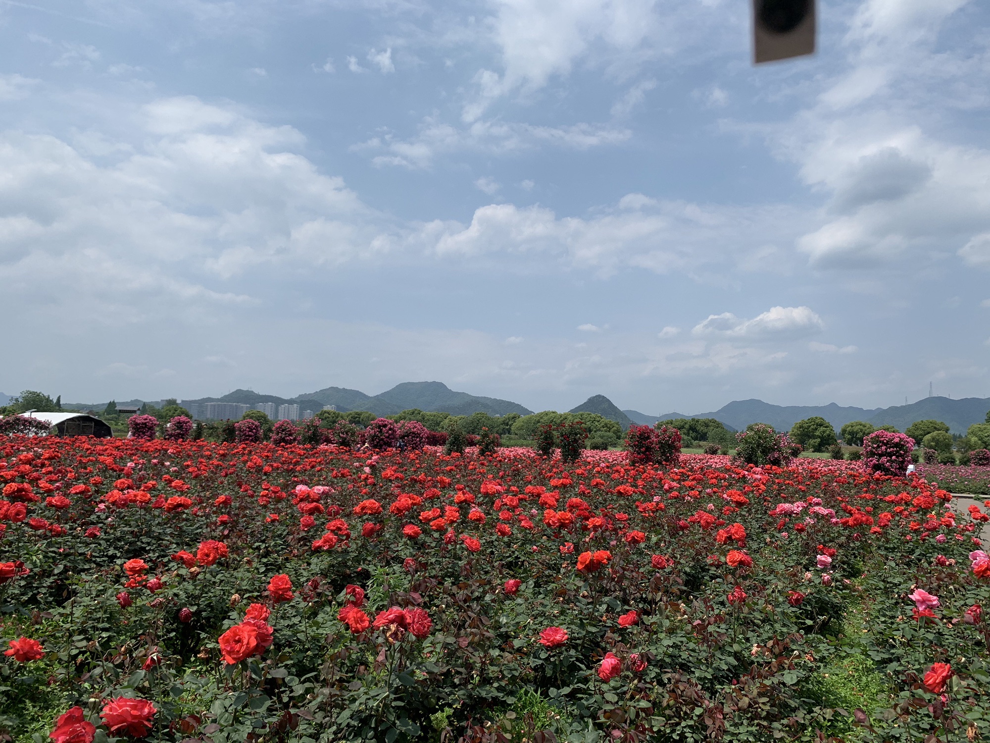新沙岛旅游度假区