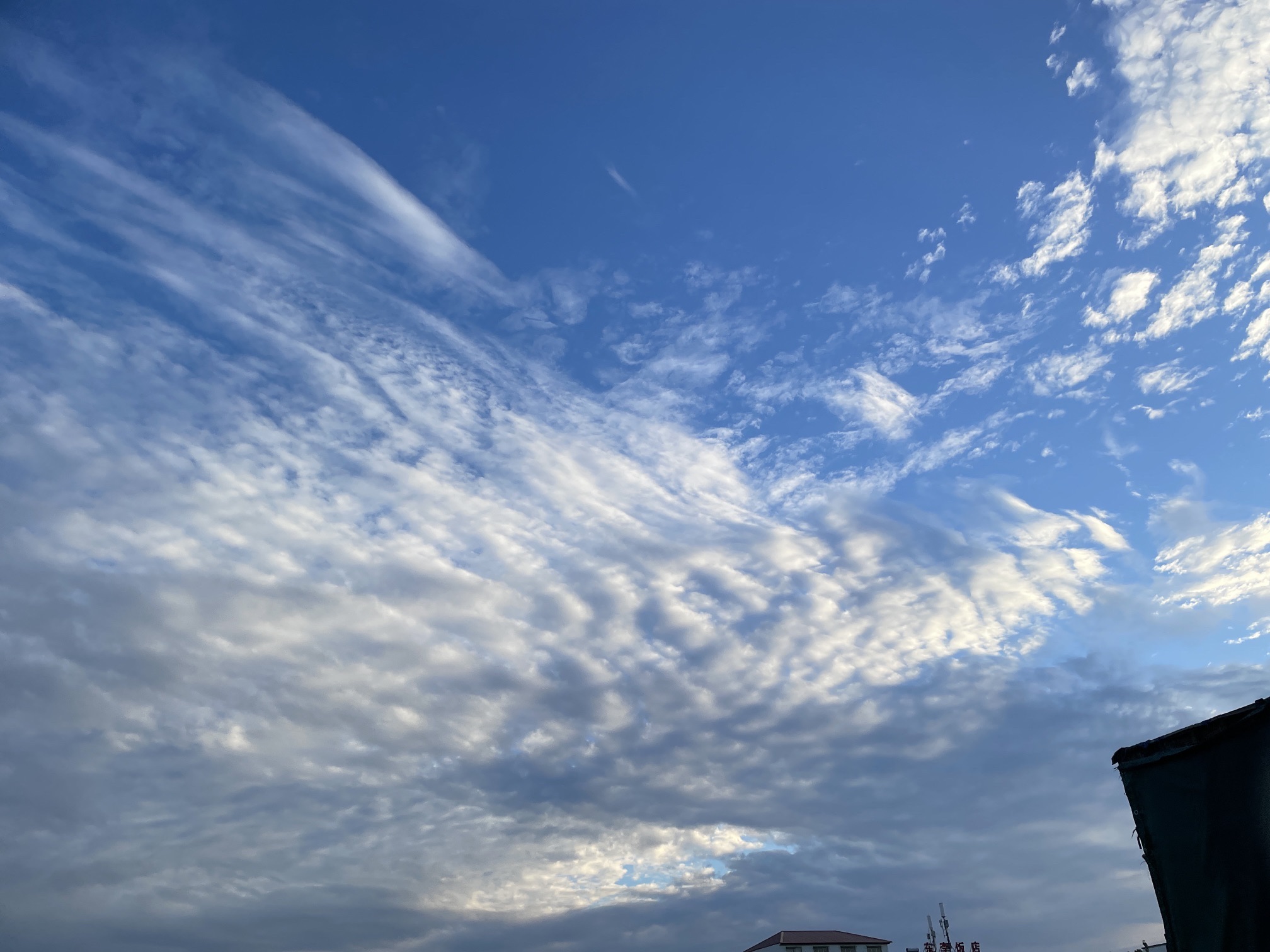 南环湿地公园