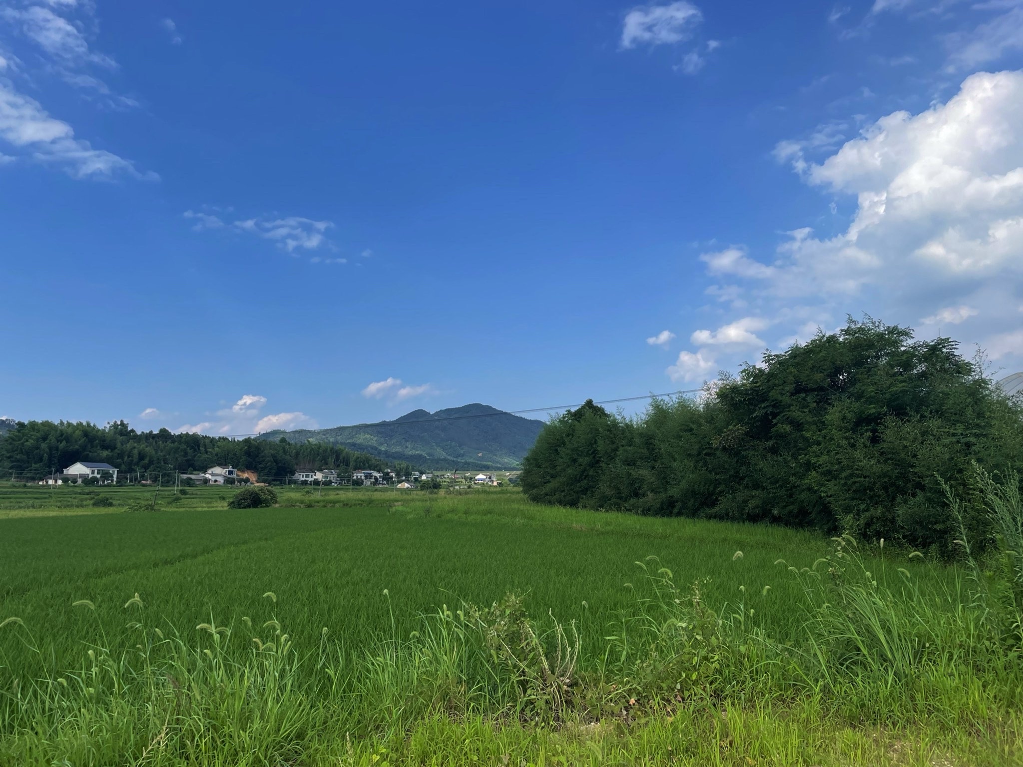 郭嵩焘墓