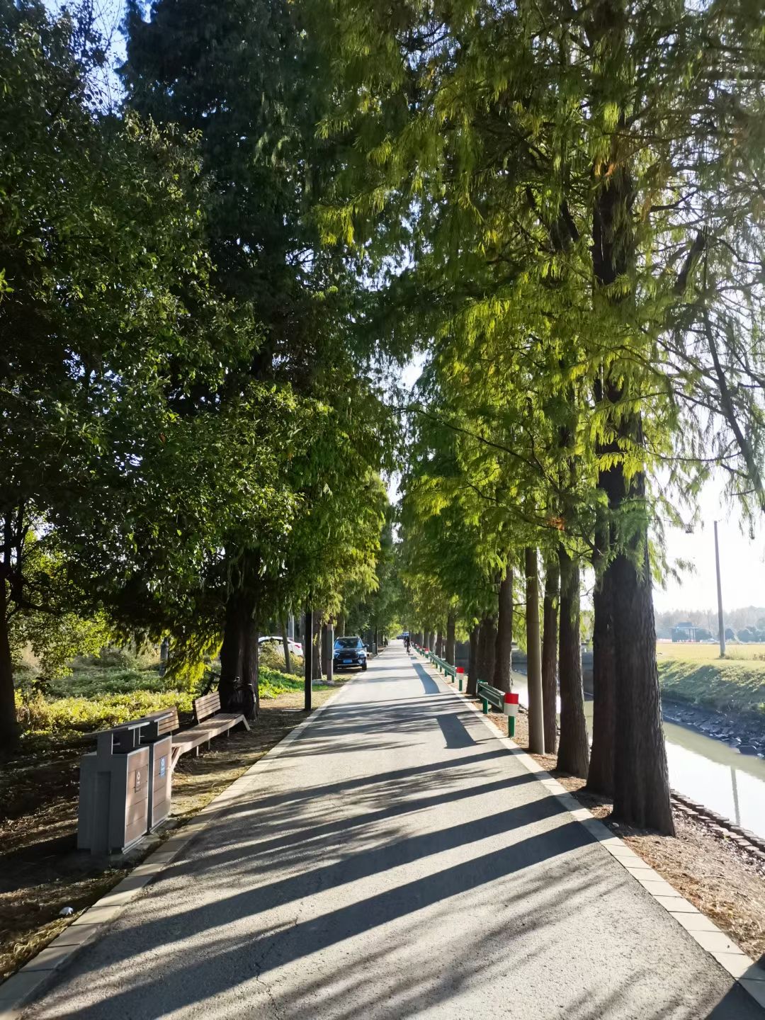米市渡松南郊野公园