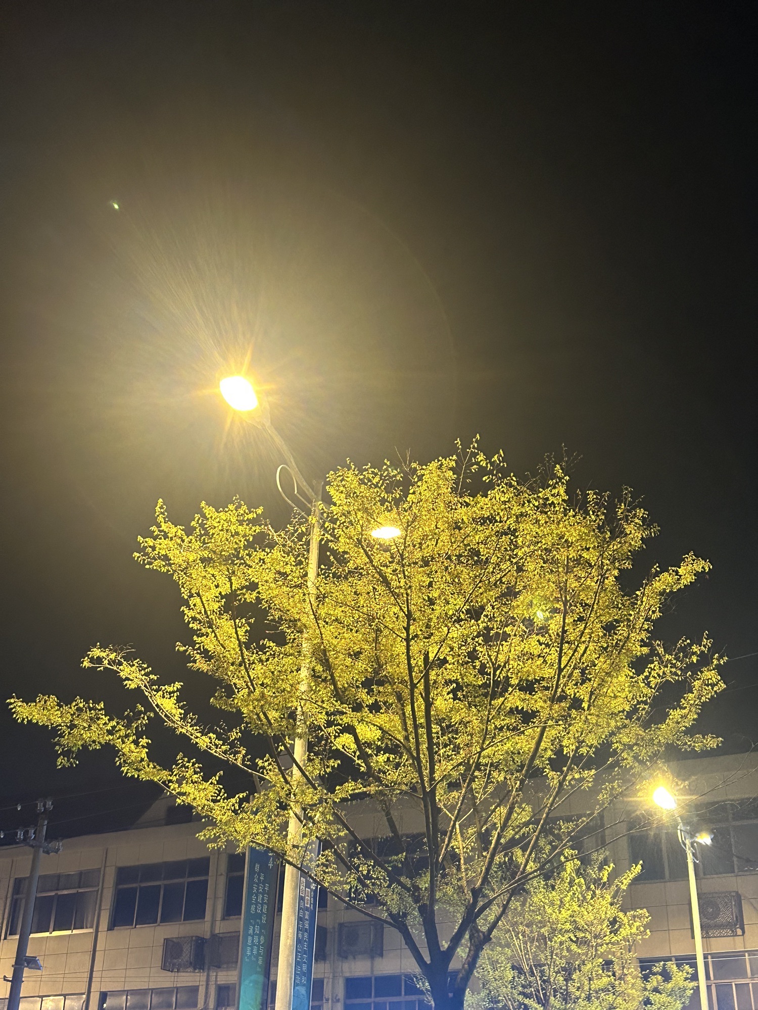 花海优胜主题公园