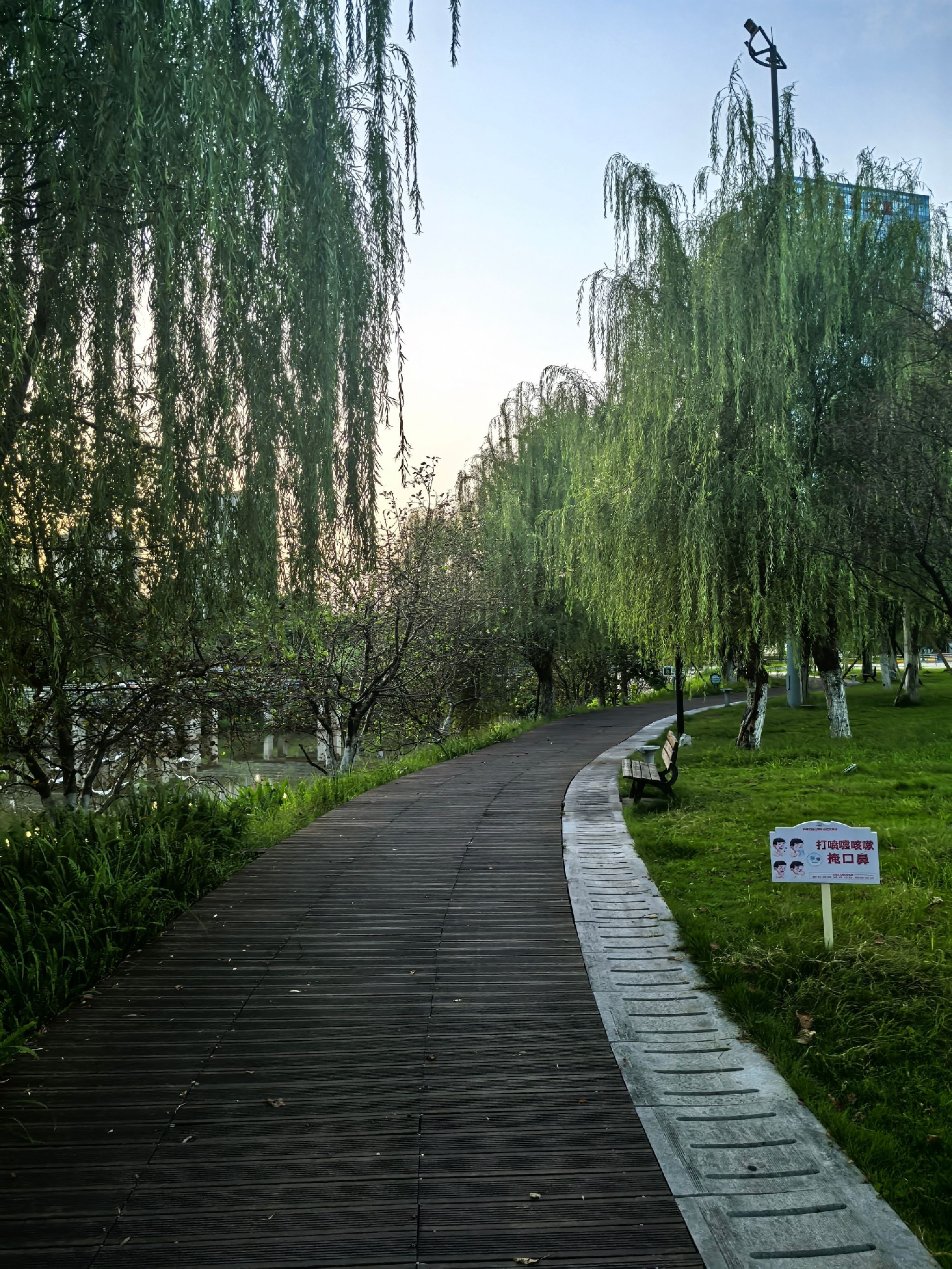 千水湖公园旅行图片