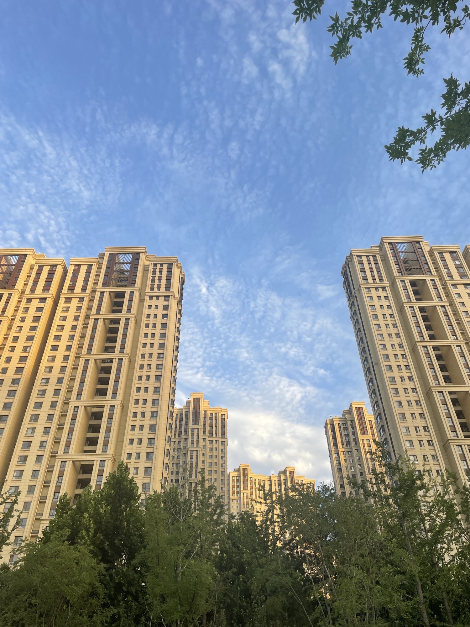 凤栖公园旅行图片