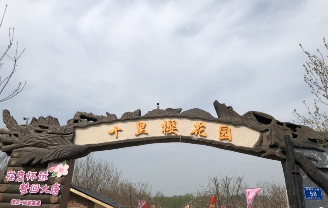 十里樱花园