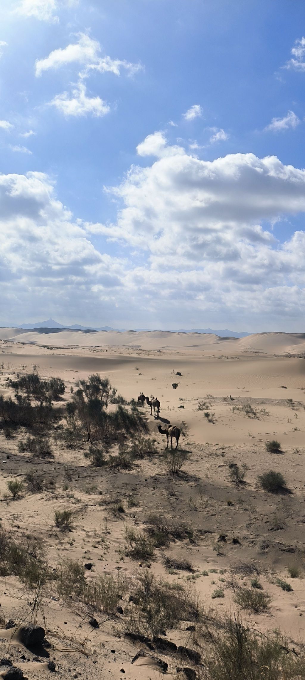 穿越之门旅行图片