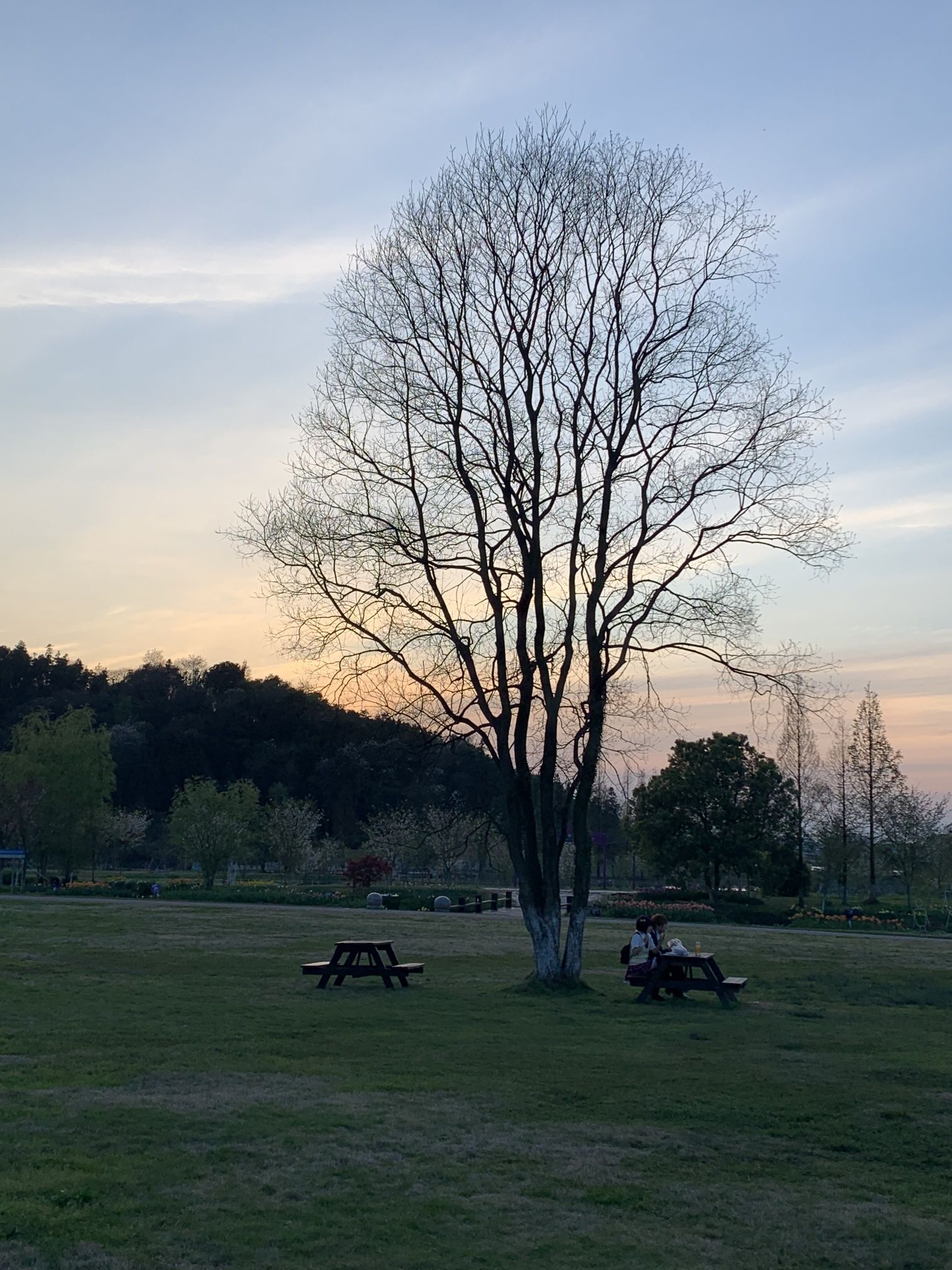 先锋小镇旅行图片