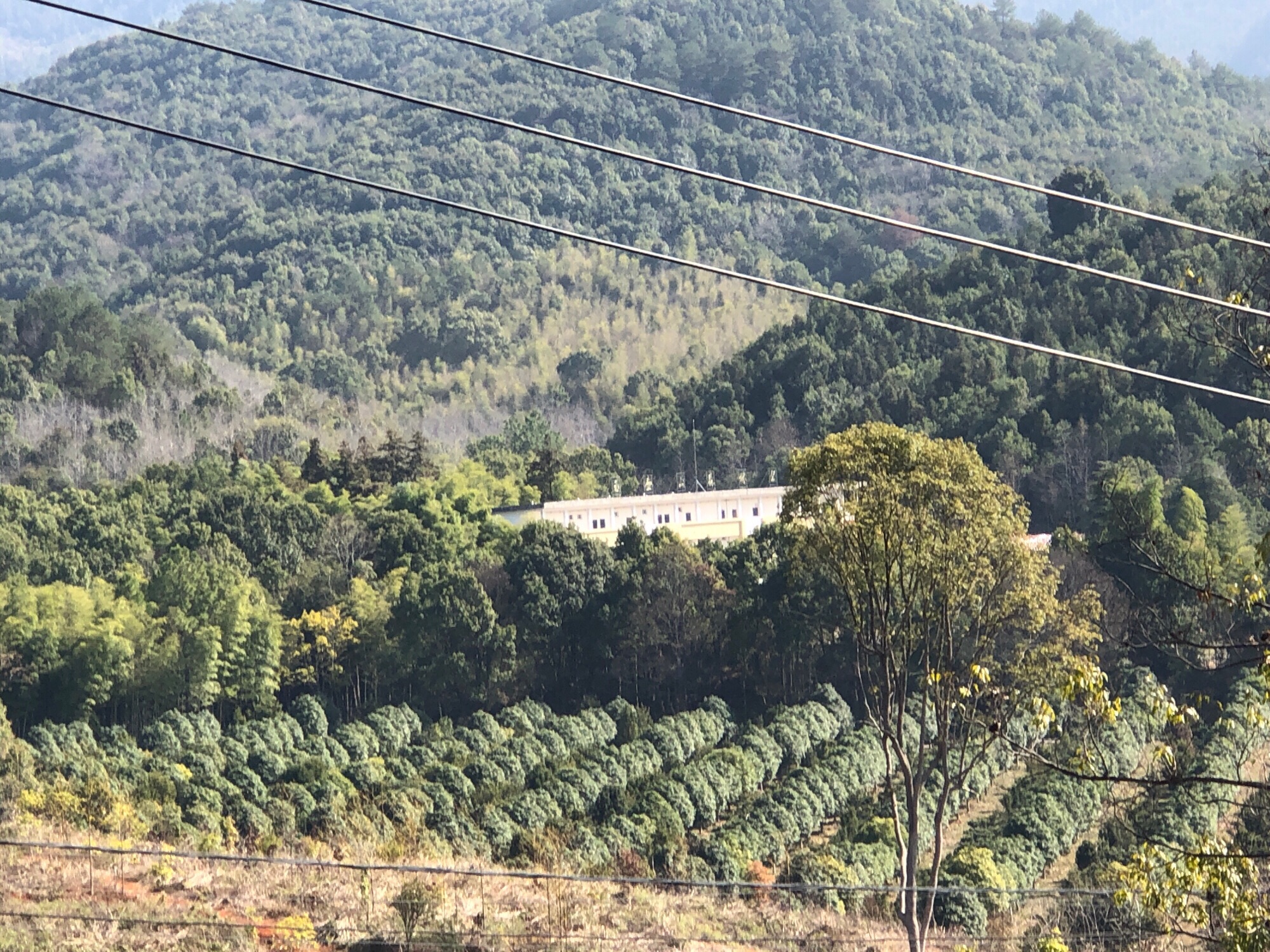 玉壶山森林公园