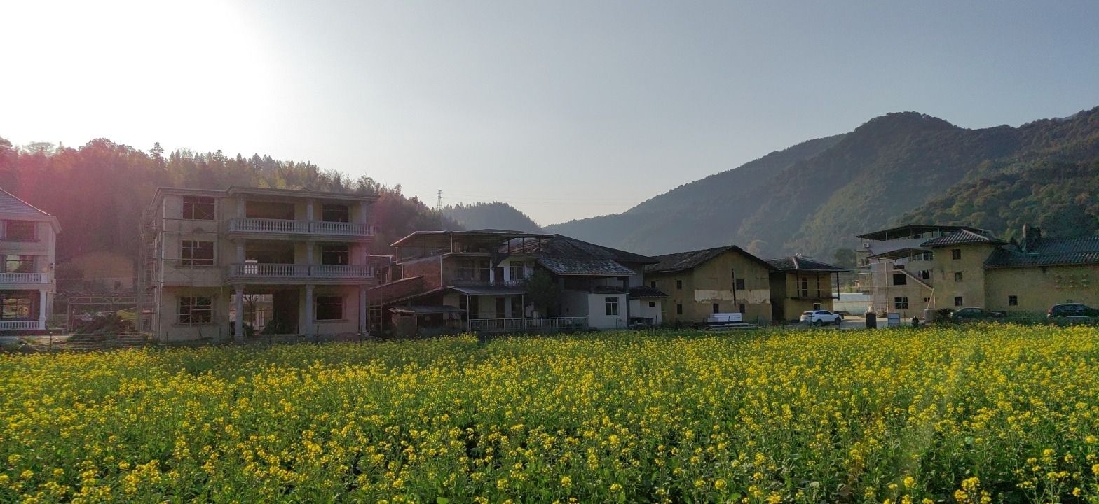 上莲森林公园旅行图片