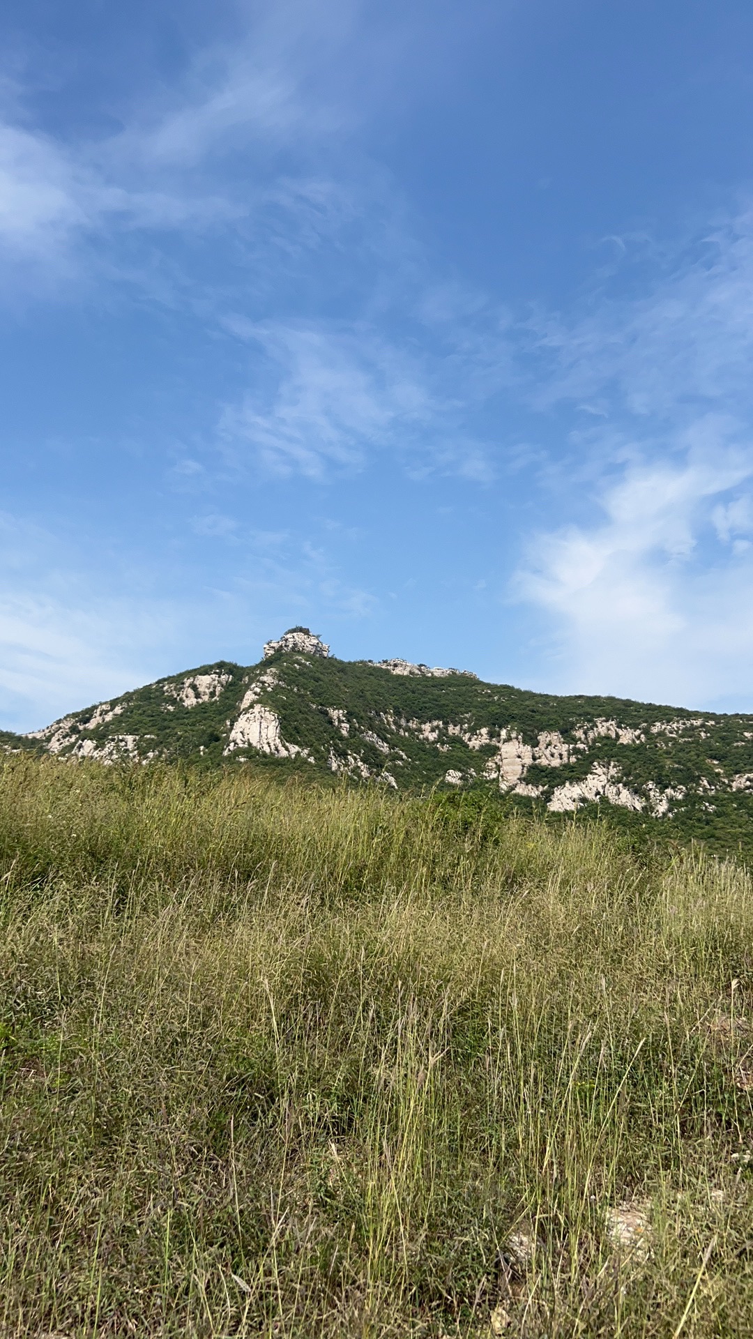 皇姑庵