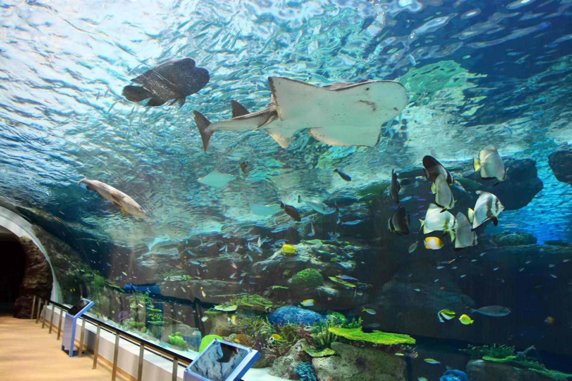 新倍水族馆