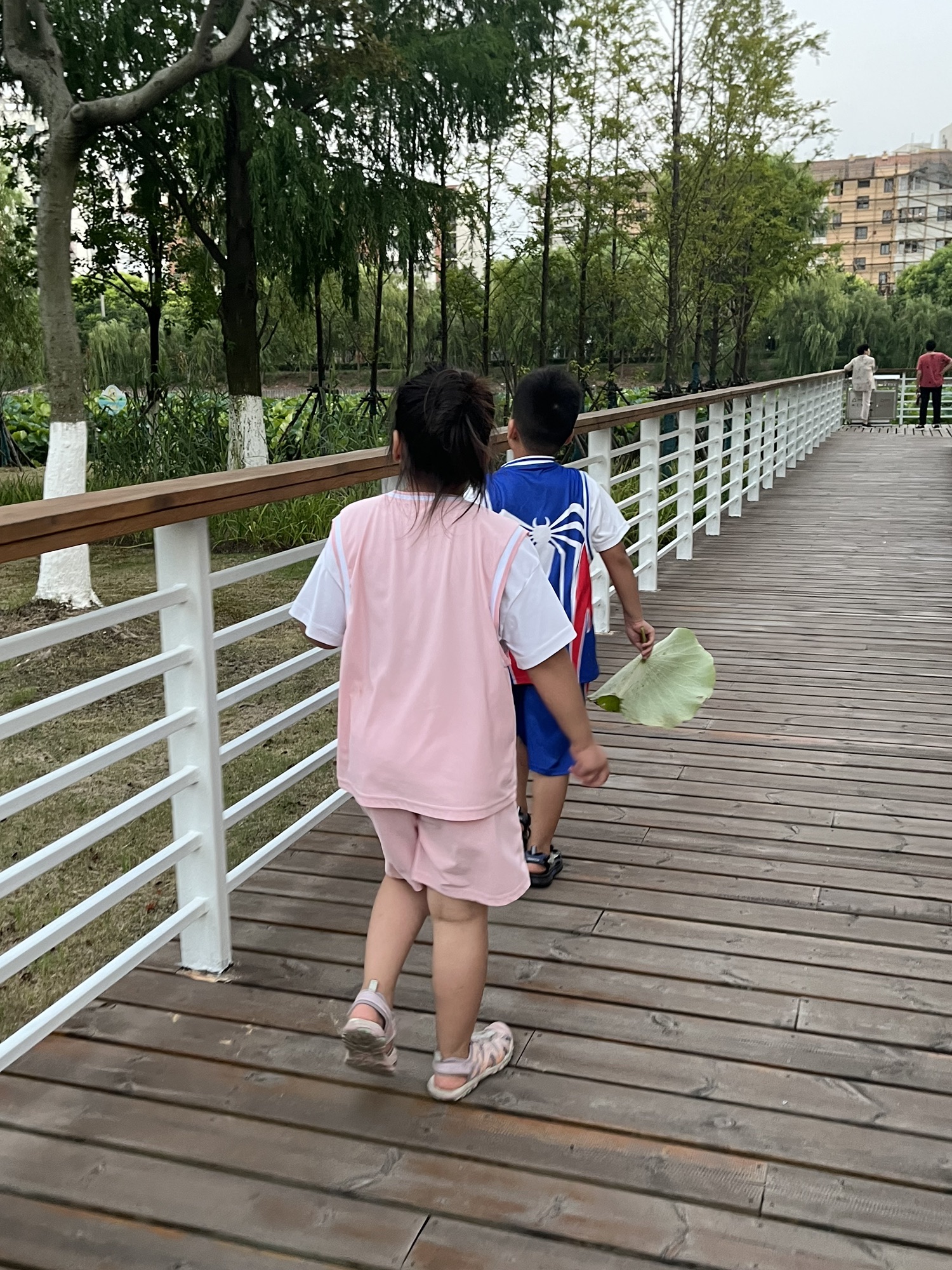 南汇新城芦潮港公园