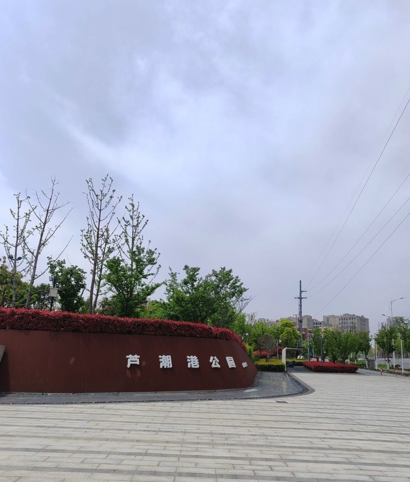 南汇新城芦潮港公园旅行图片