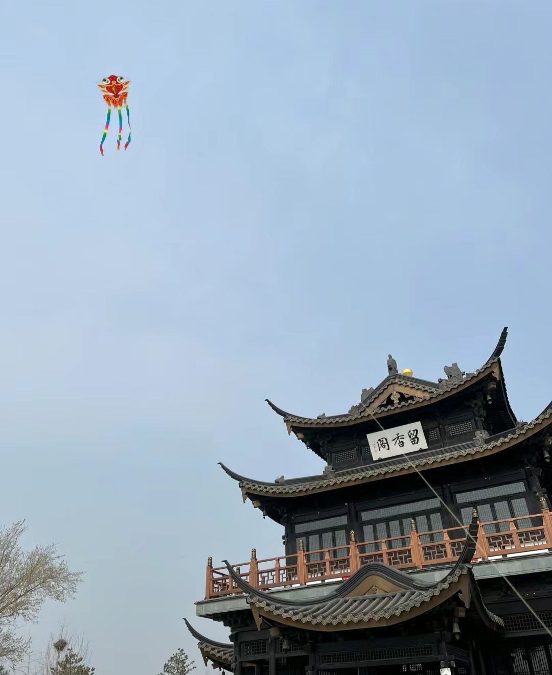 襄湖旅行图片