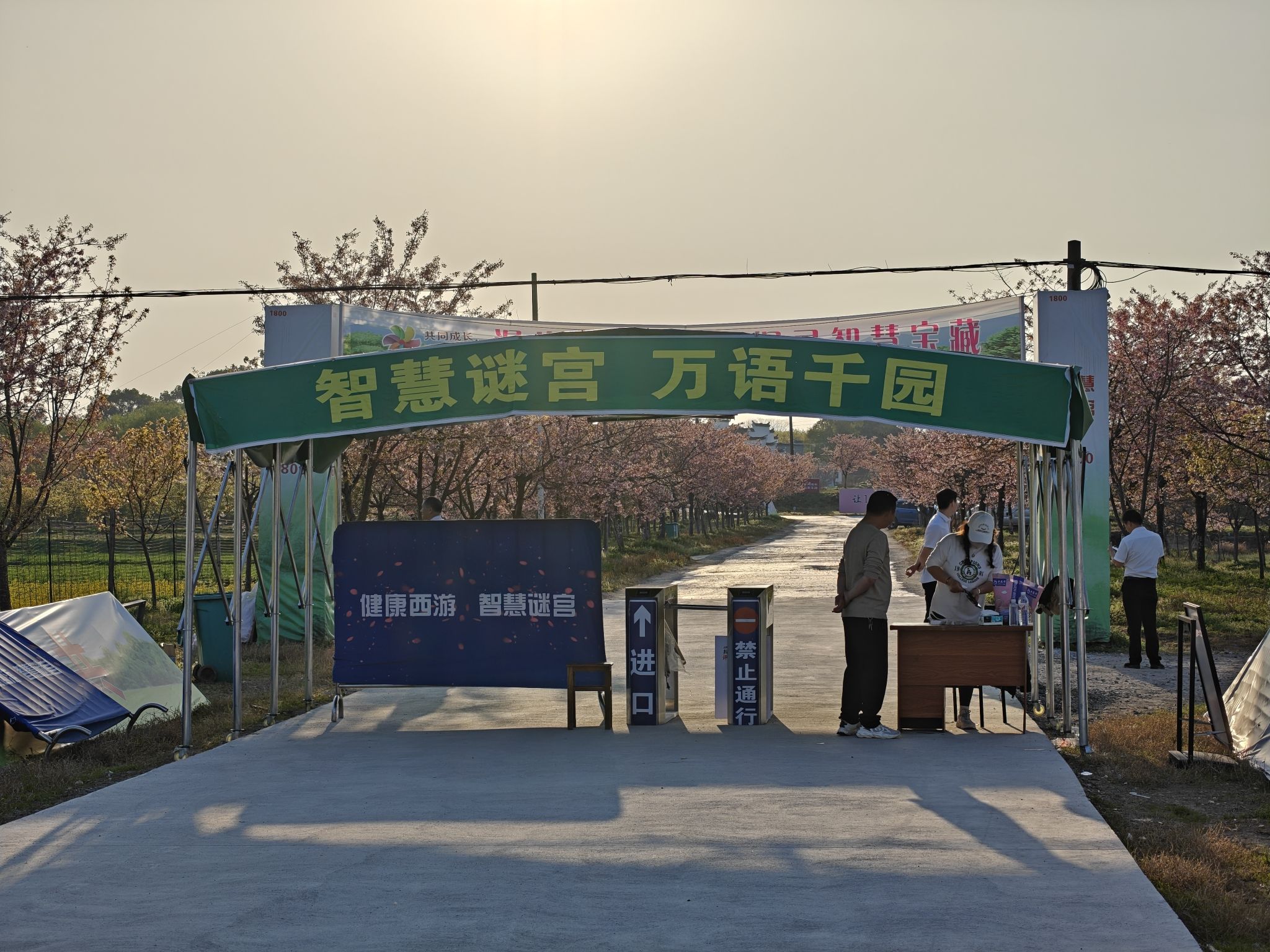 智慧谜宫樱花园
