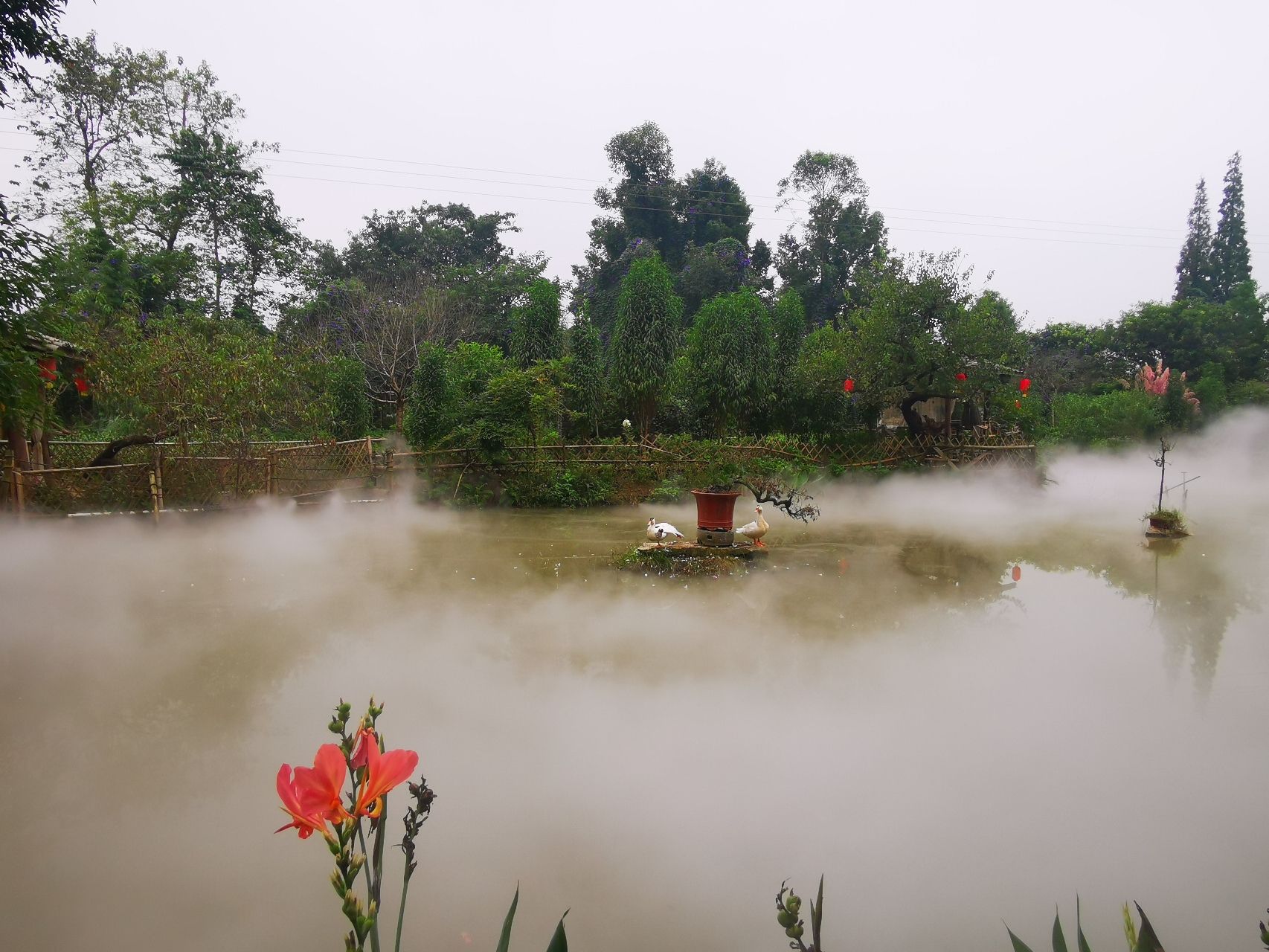 简陋田野旅行图片