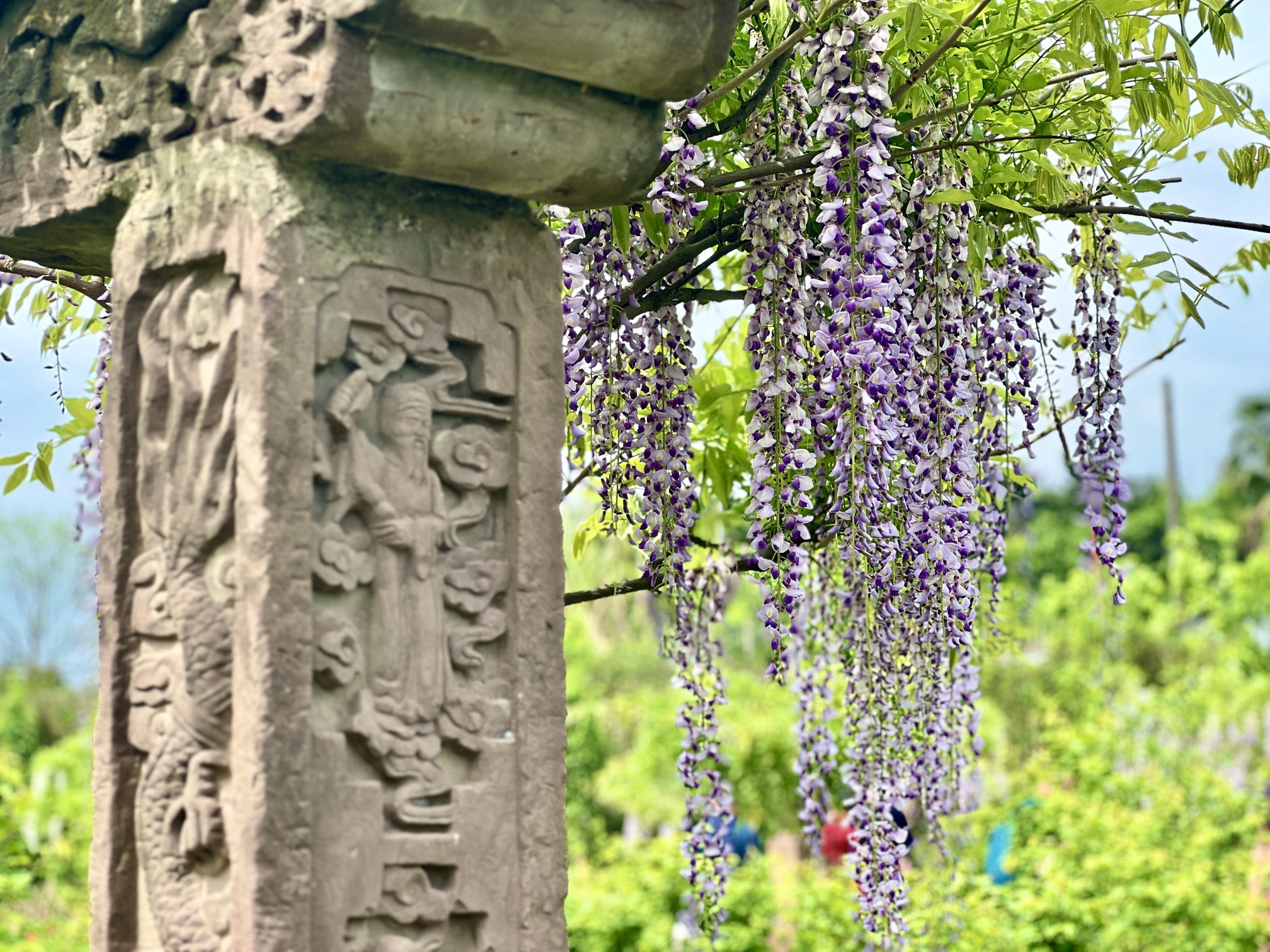简陋田野旅行图片