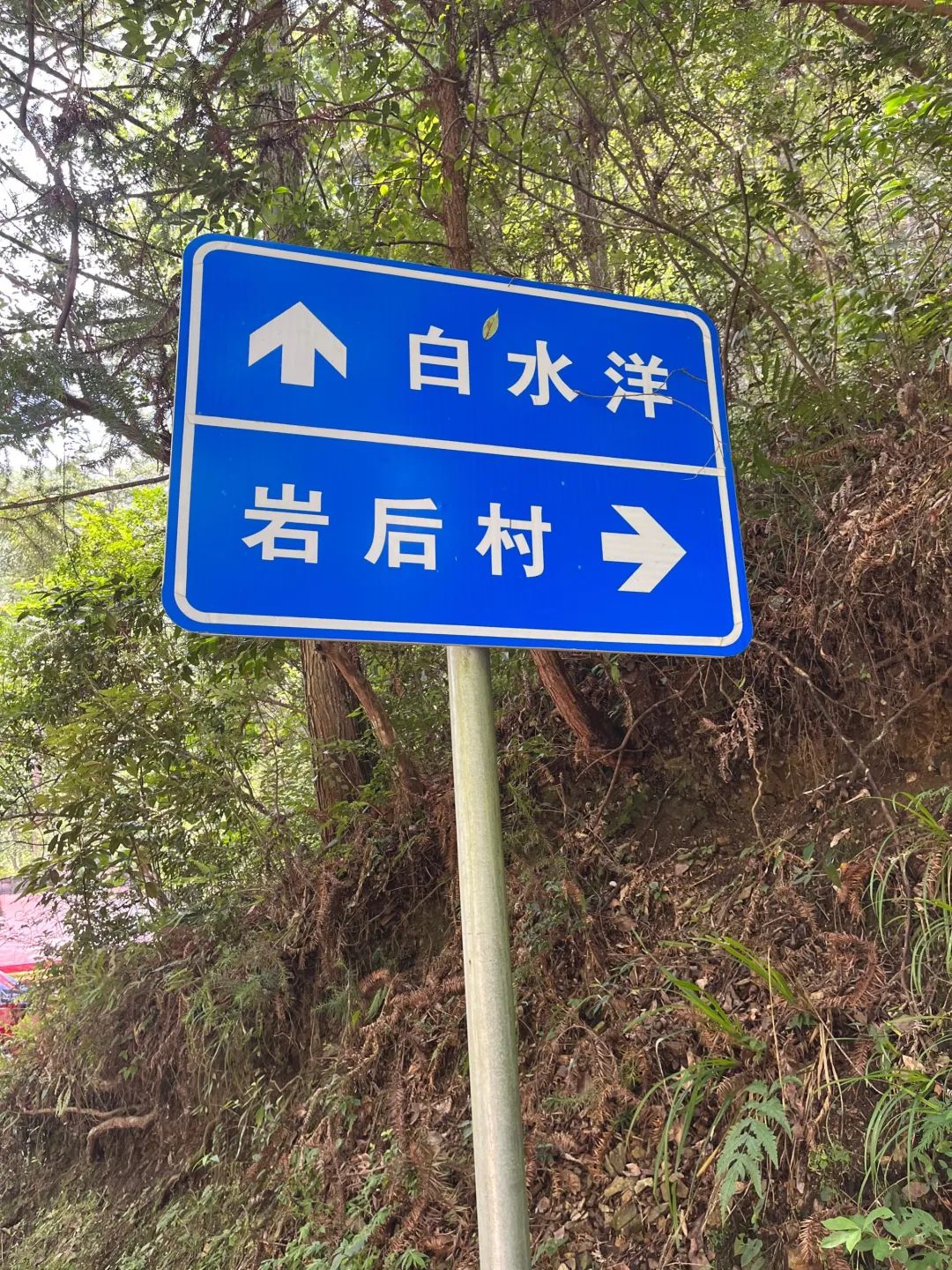 白水洋风景区