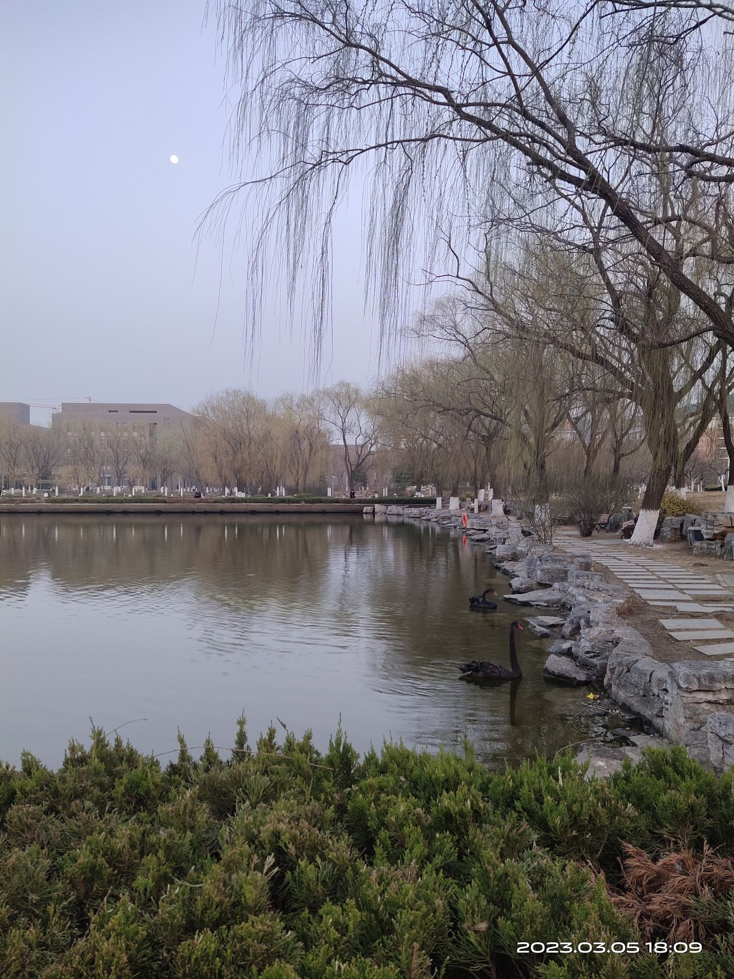 清漪公园