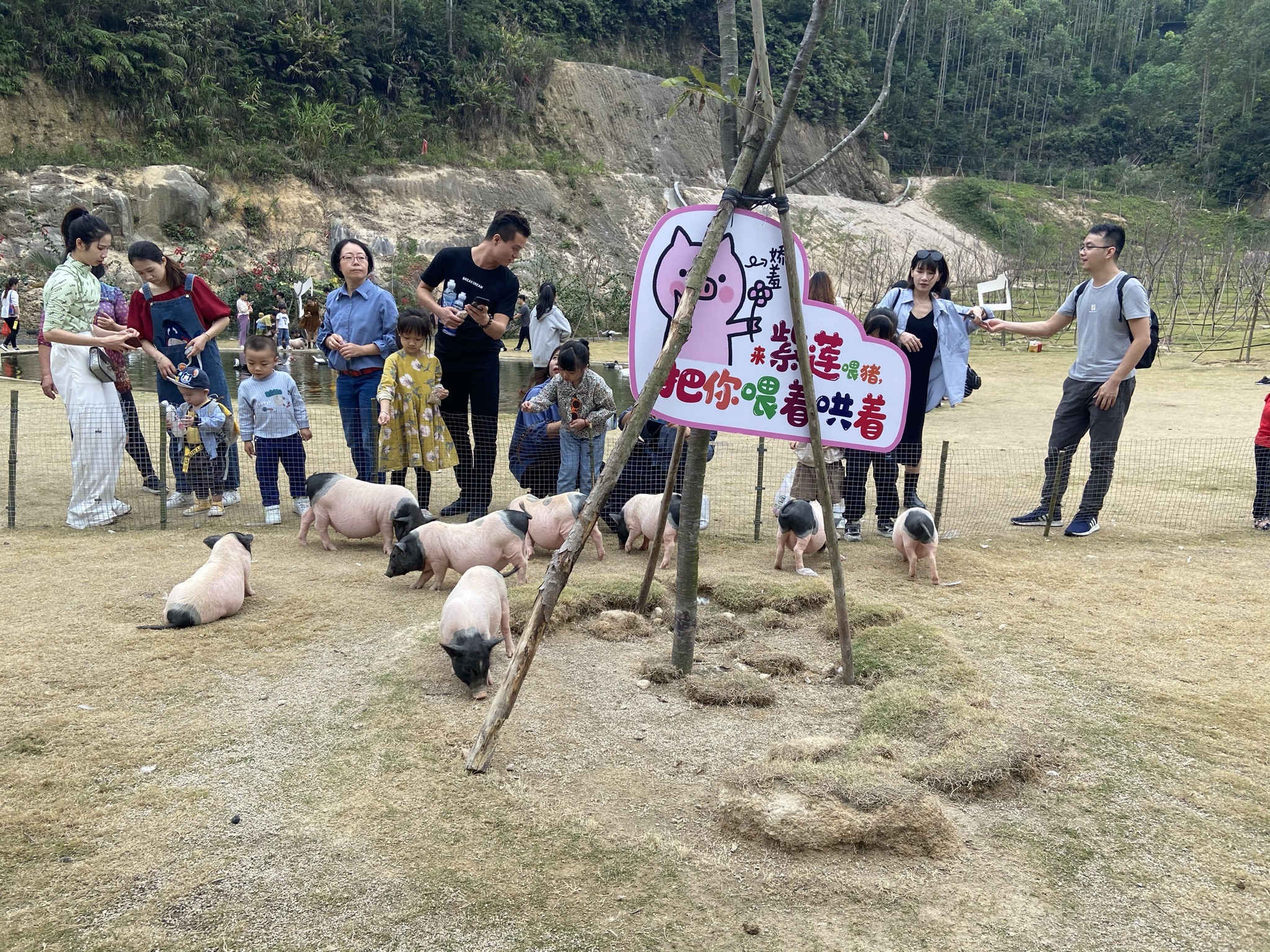 紫莲生态旅游度假区