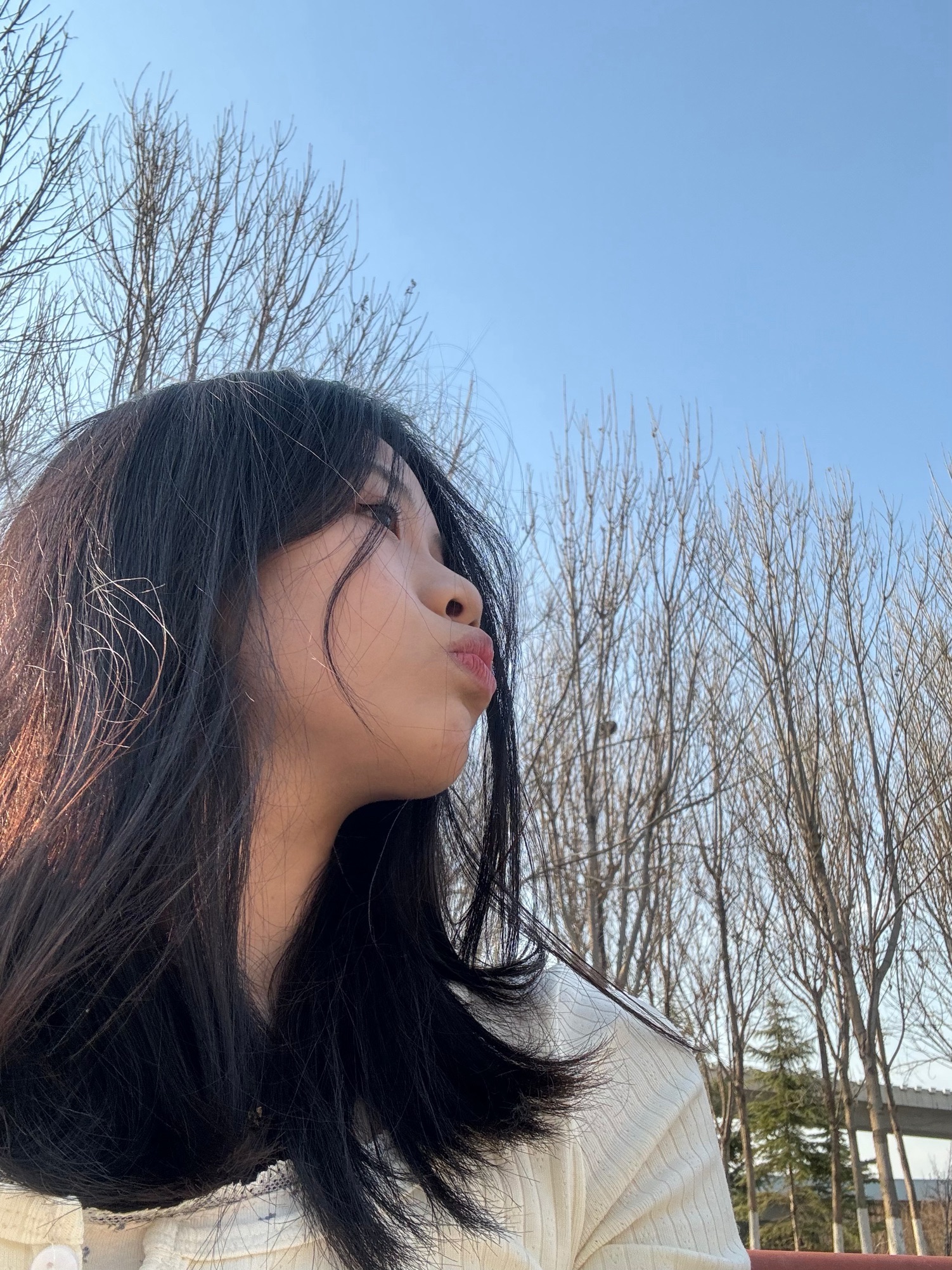 西环公园旅行图片