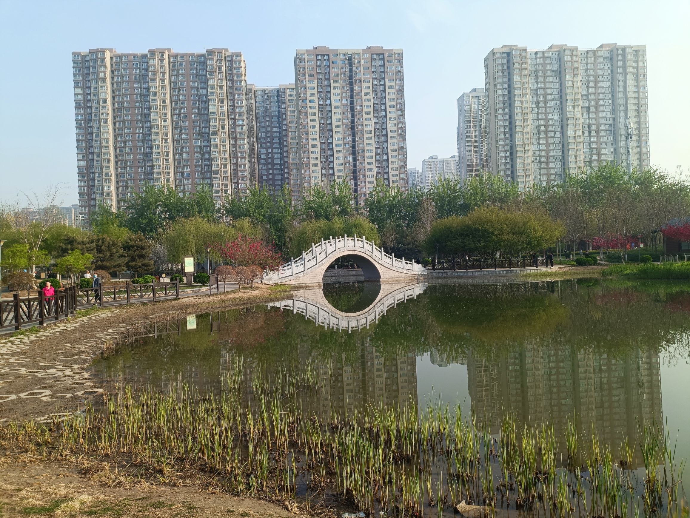 西环公园旅行图片