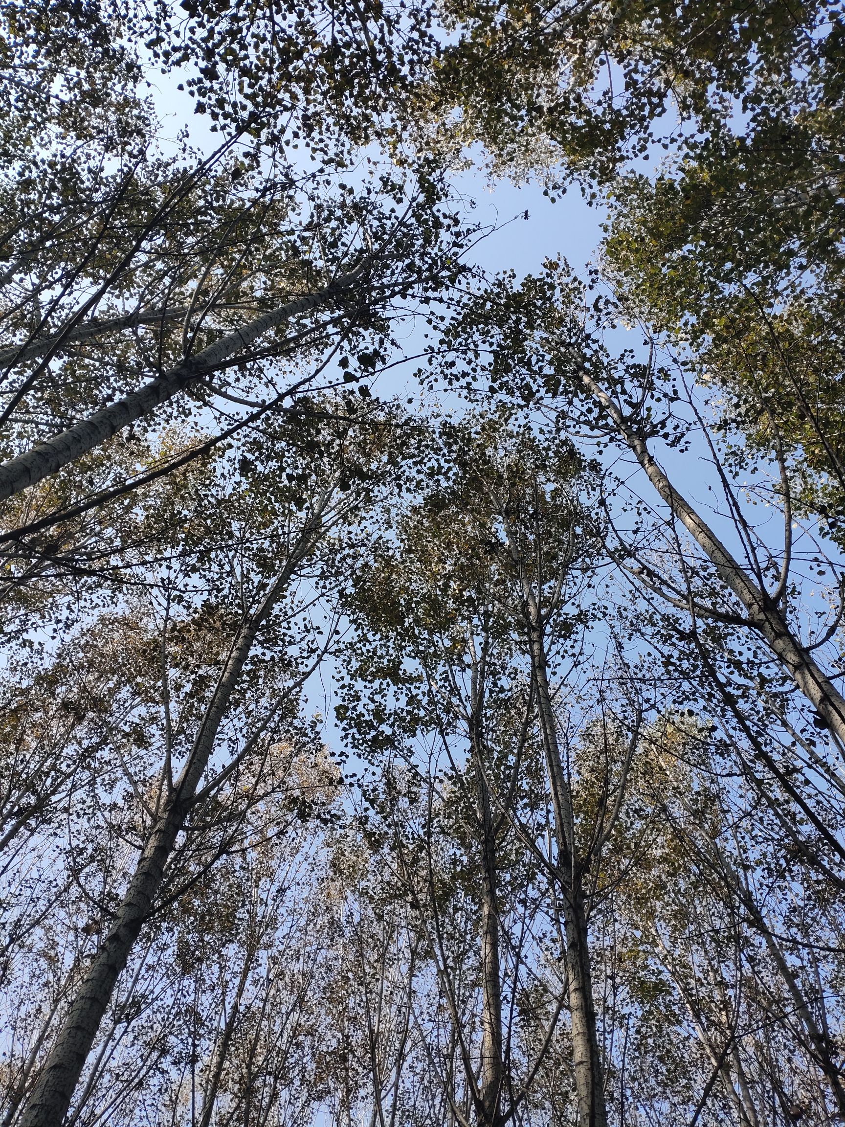 济窦岩旅行图片