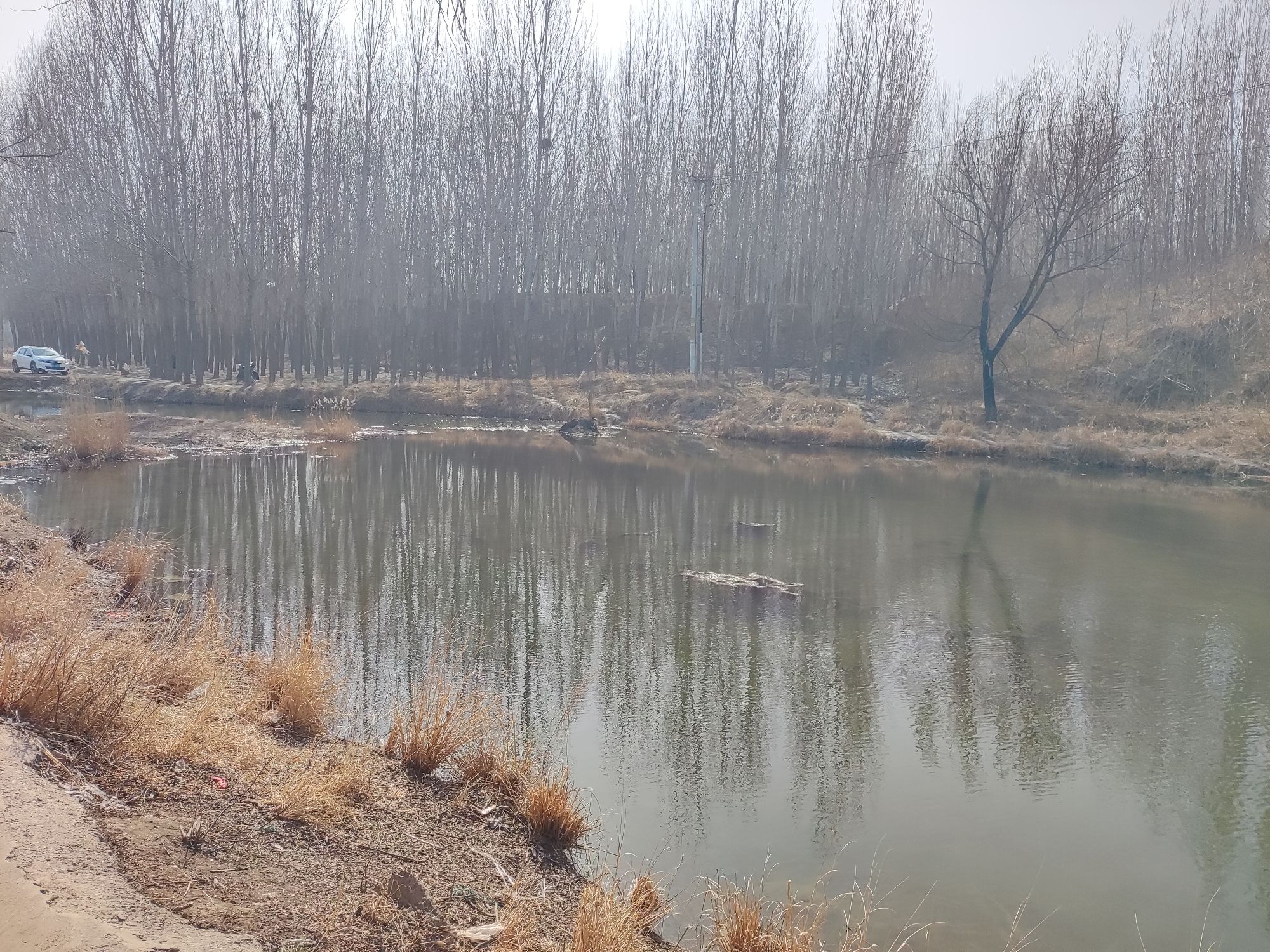 济窦岩旅行图片