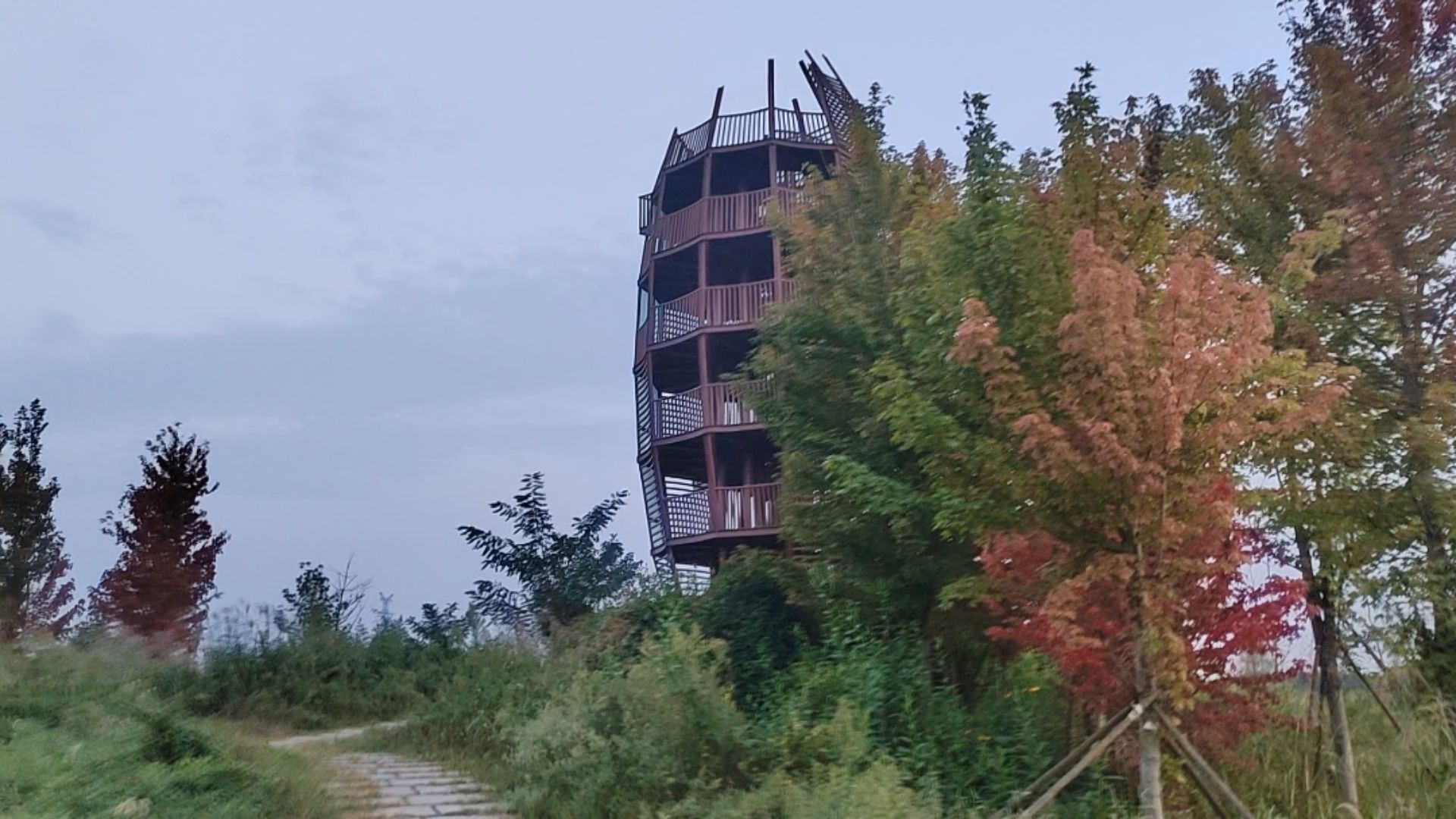 付疃河湿地公园旅行图片
