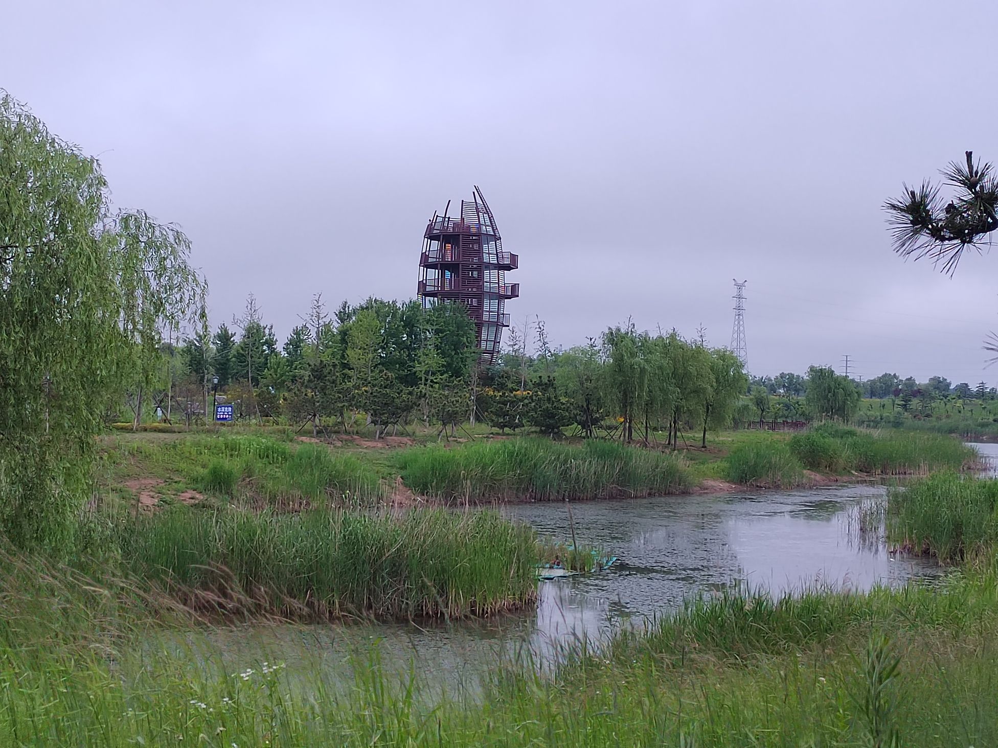 付疃河湿地公园旅行图片