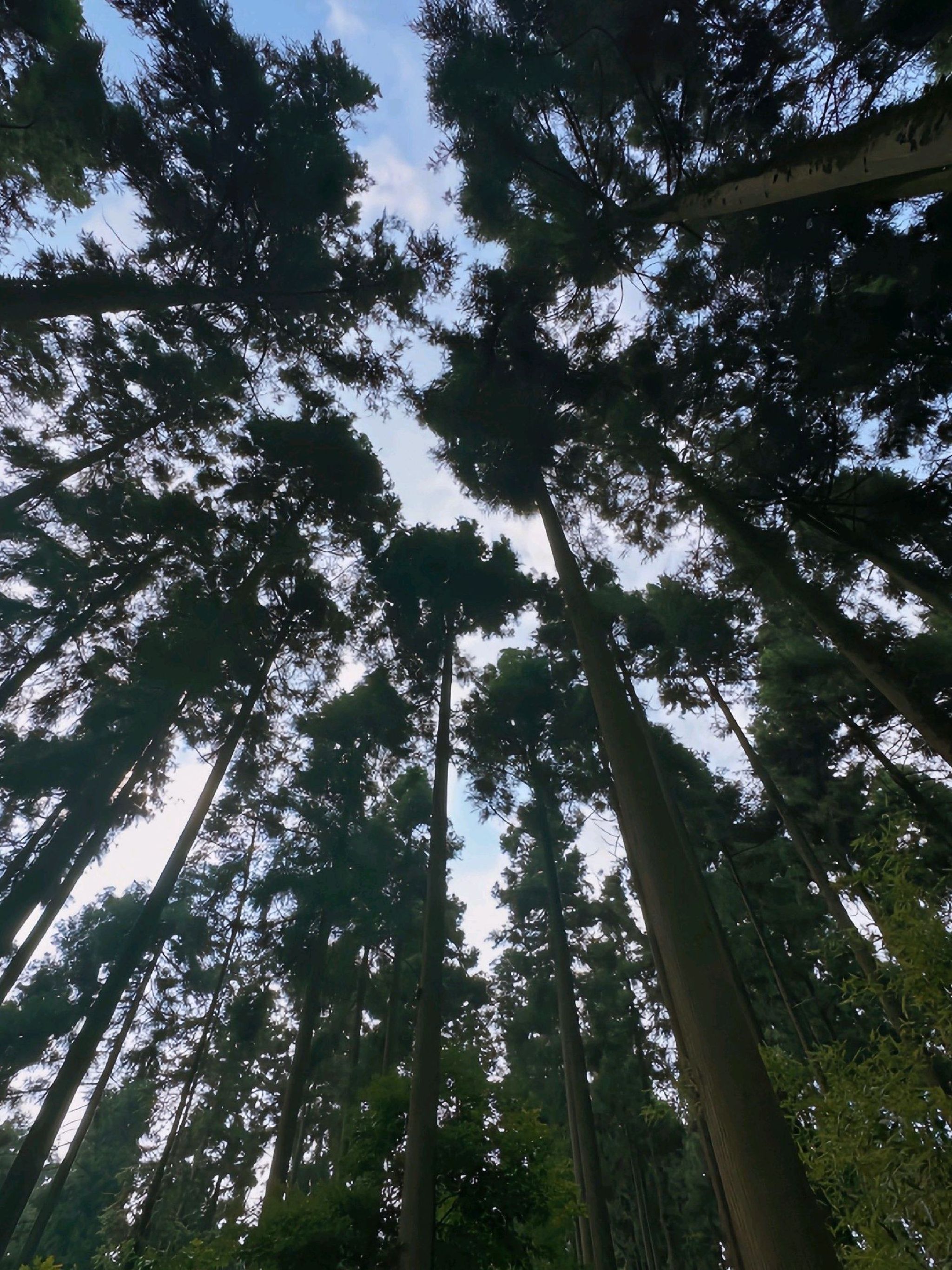 玉屏山景区旅行图片