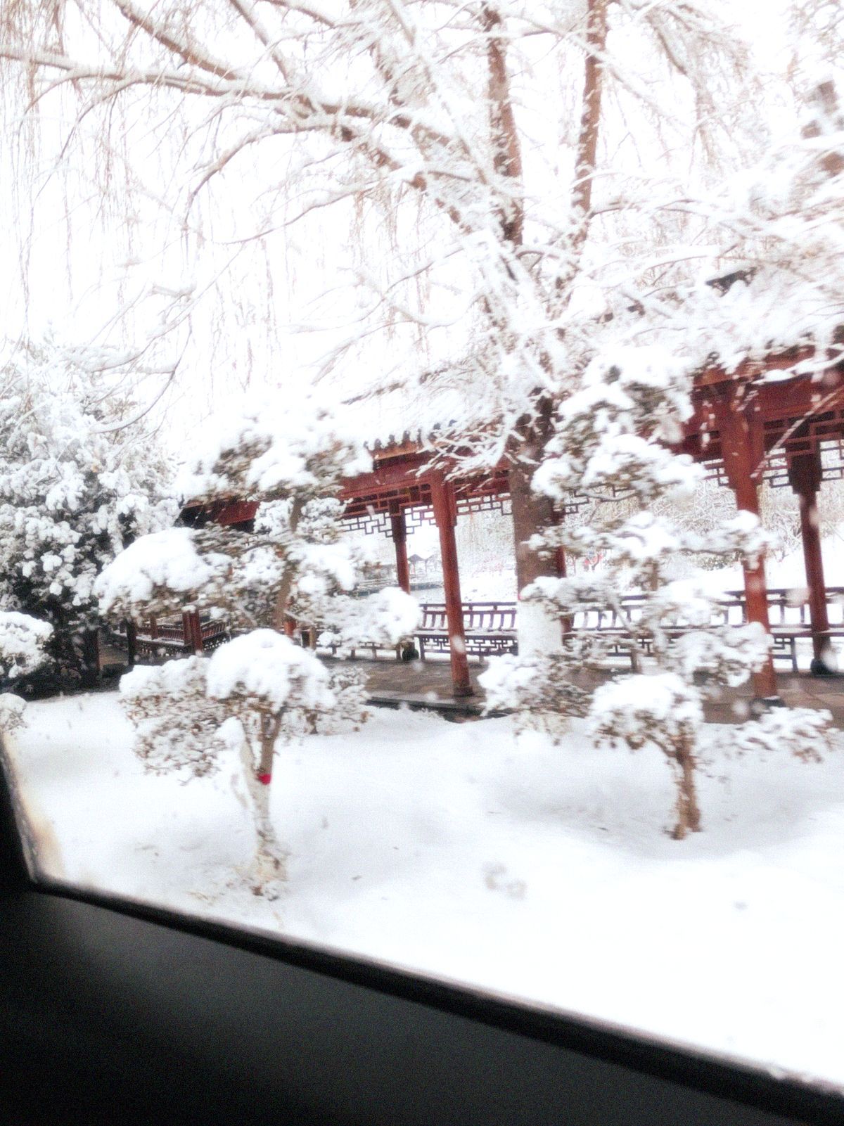 龙文化公园