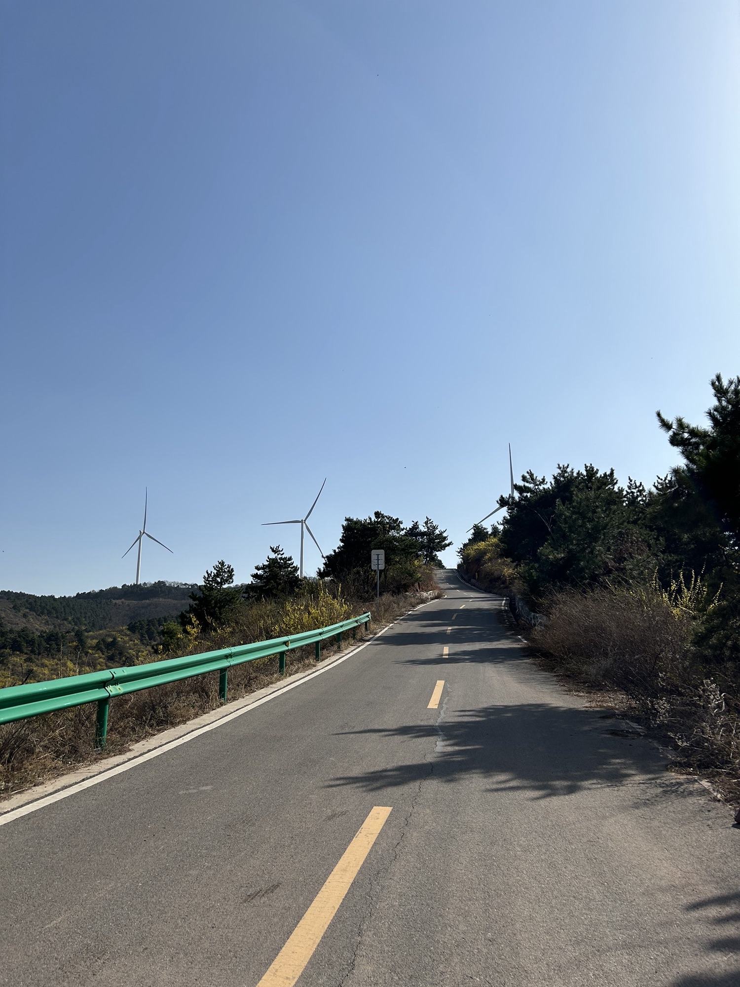 金山银山风景道旅行图片