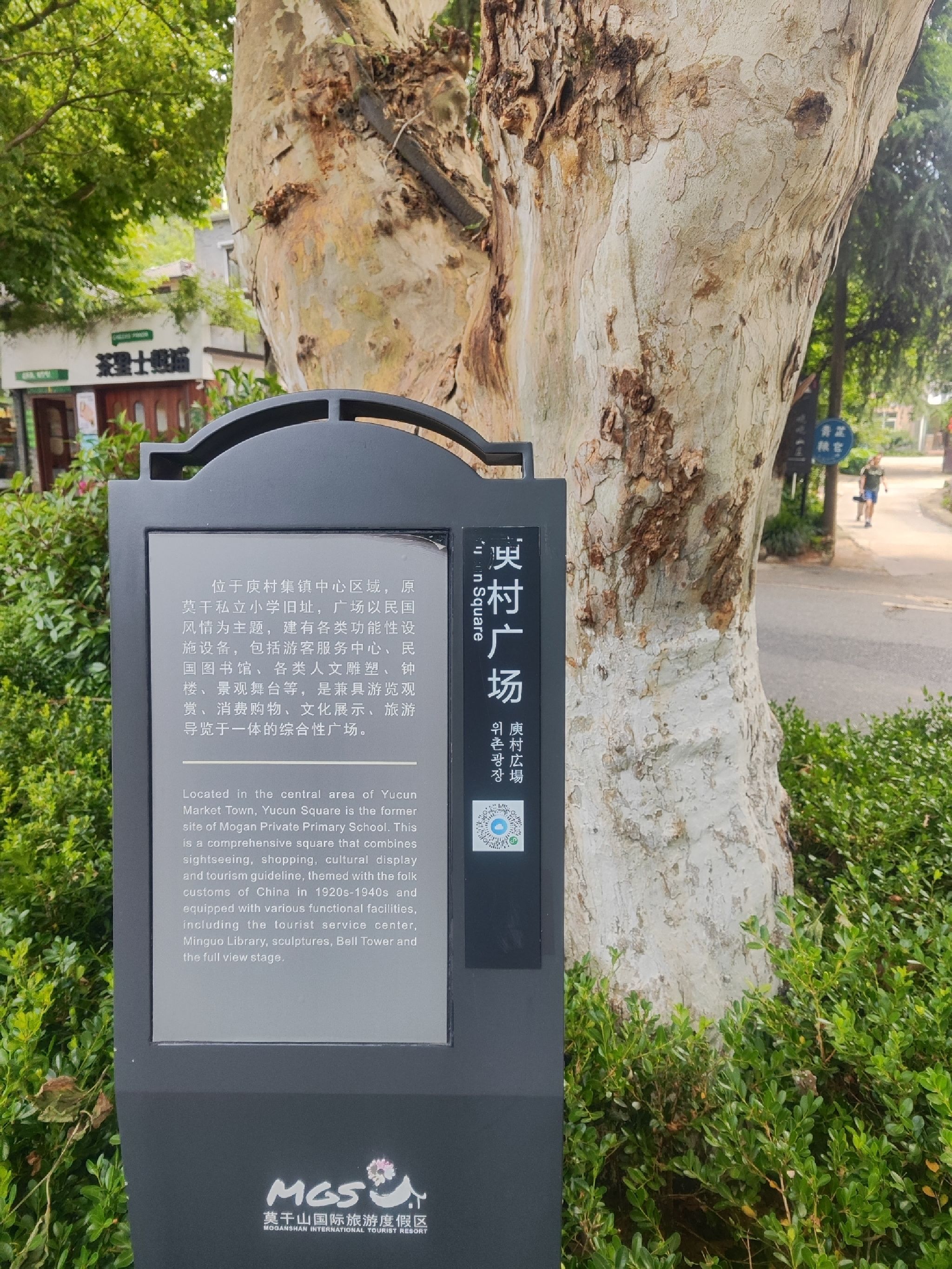 莫干山镇庾村广场旅行图片