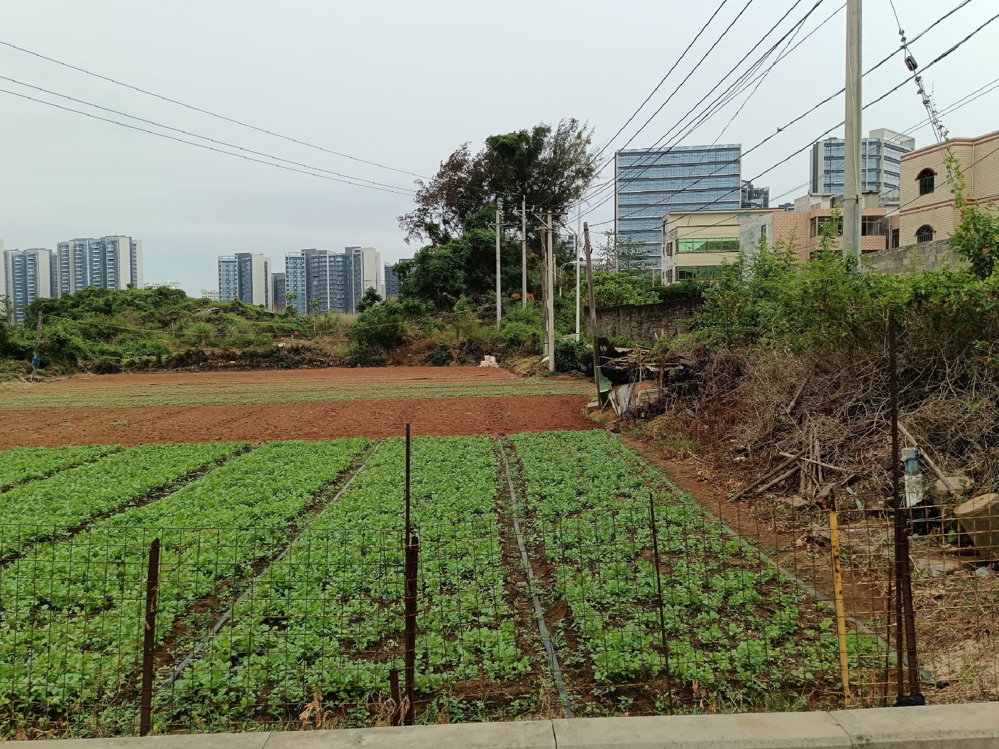 常驻宝塔